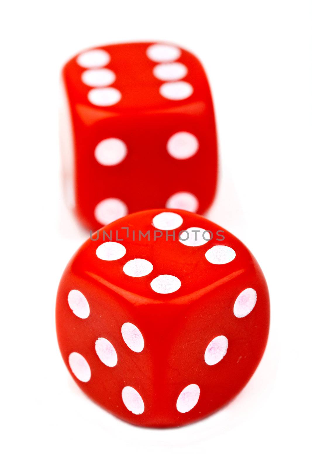 Red Dice over a plain white background.