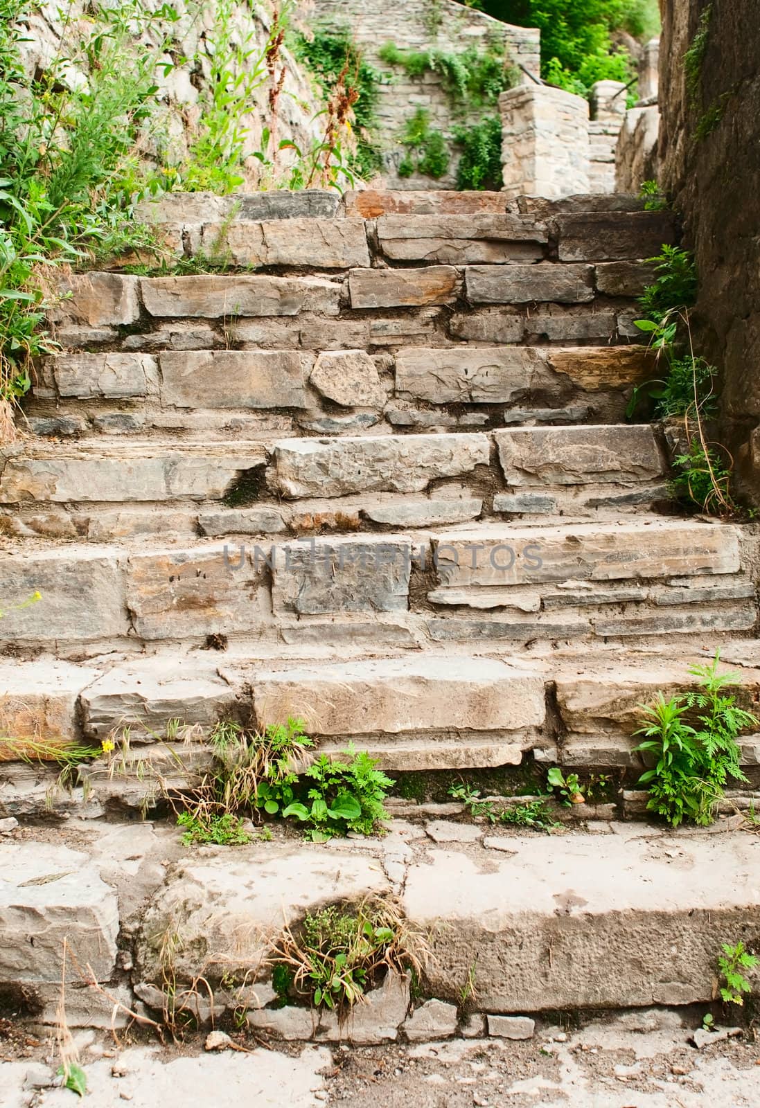 Old ancient stone stairs in the pack