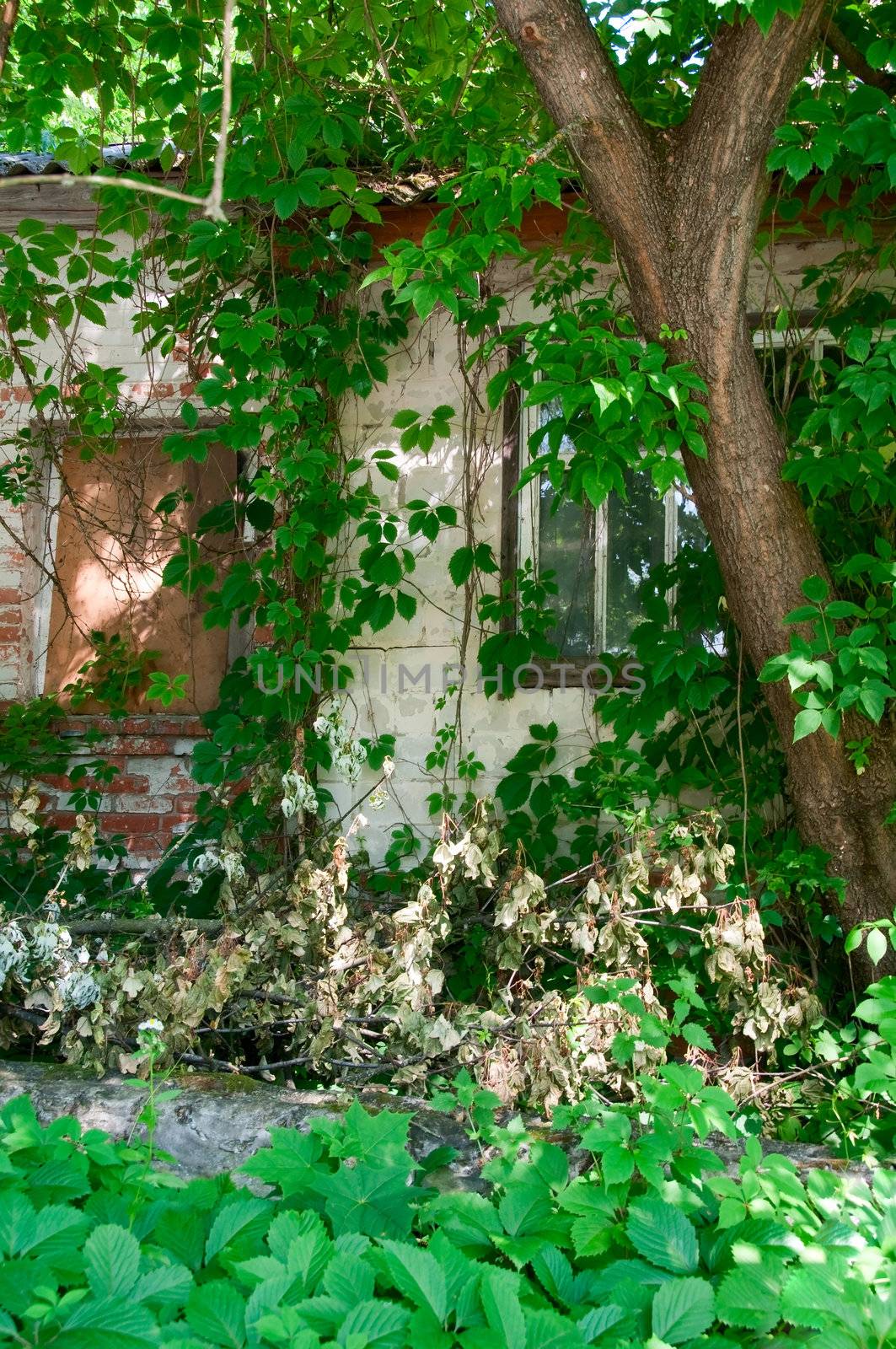 Chernobyl disaster results. This is an abandoned house in Chernobyl city