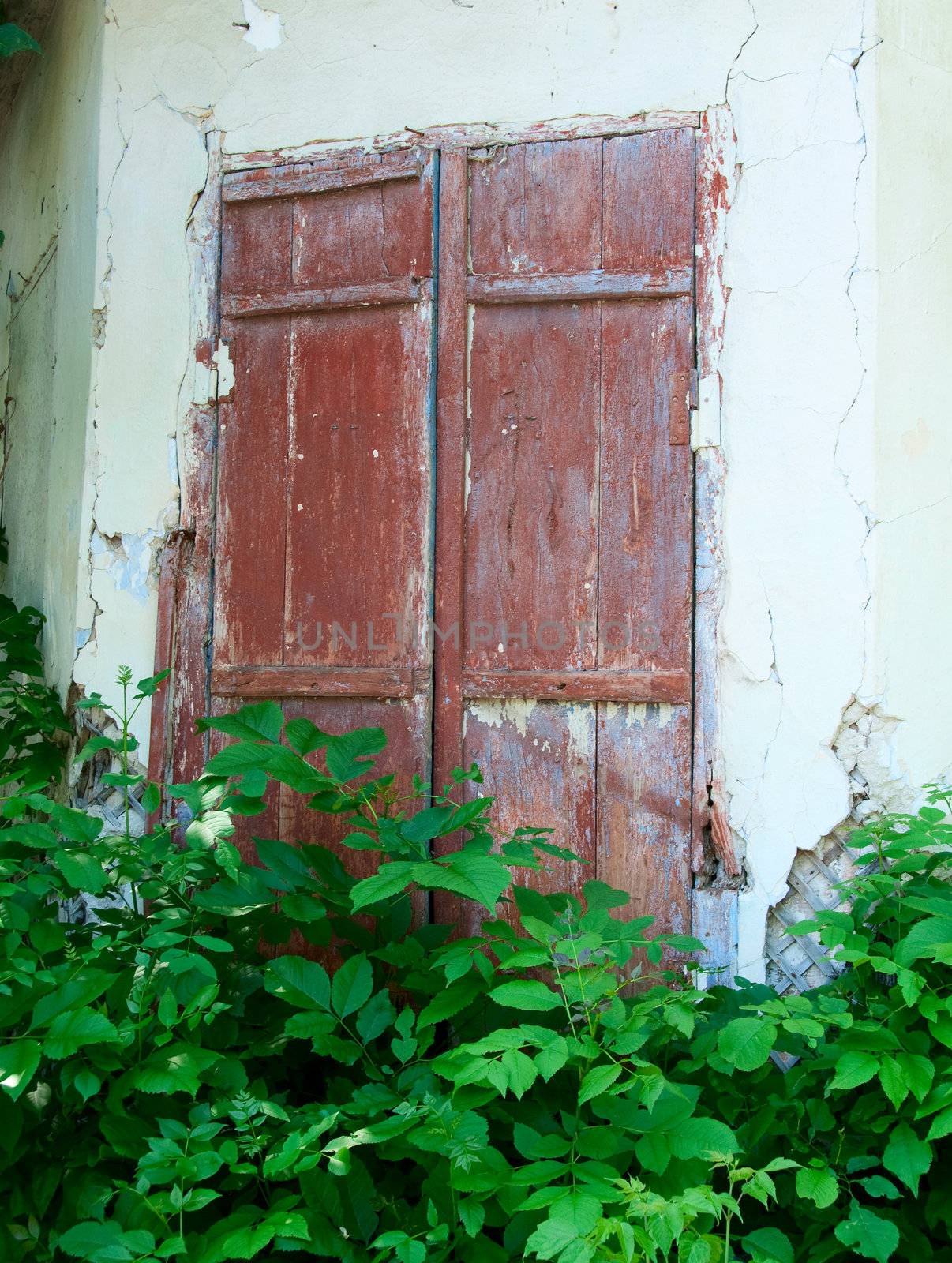 Chernobyl disaster results. This is an abandoned house in Chernobyl city