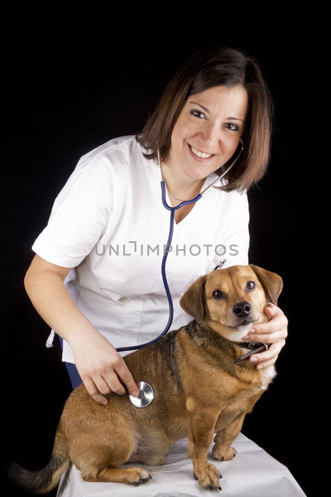 a veterinary girl and dachshund