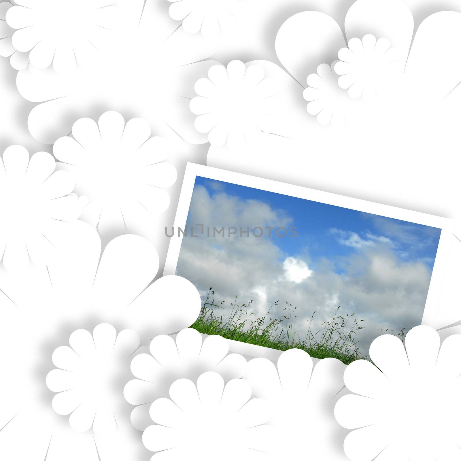 white card with summer field photo by Carche