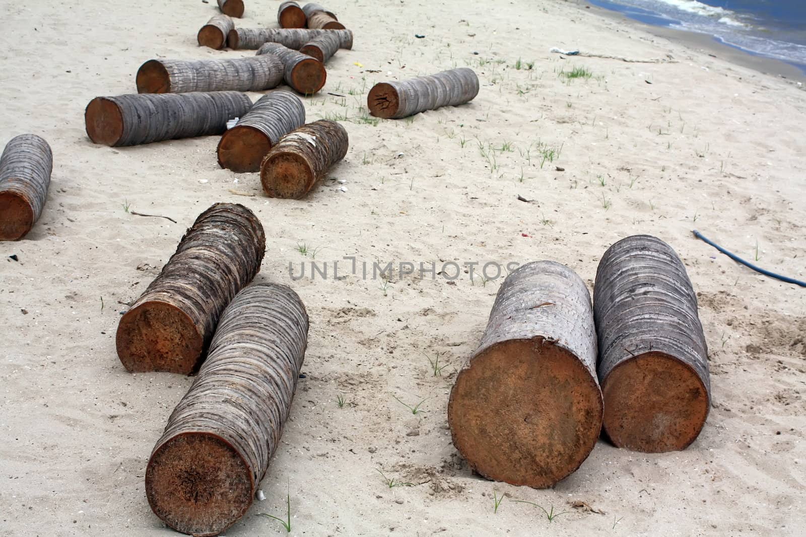 Timber on the beach