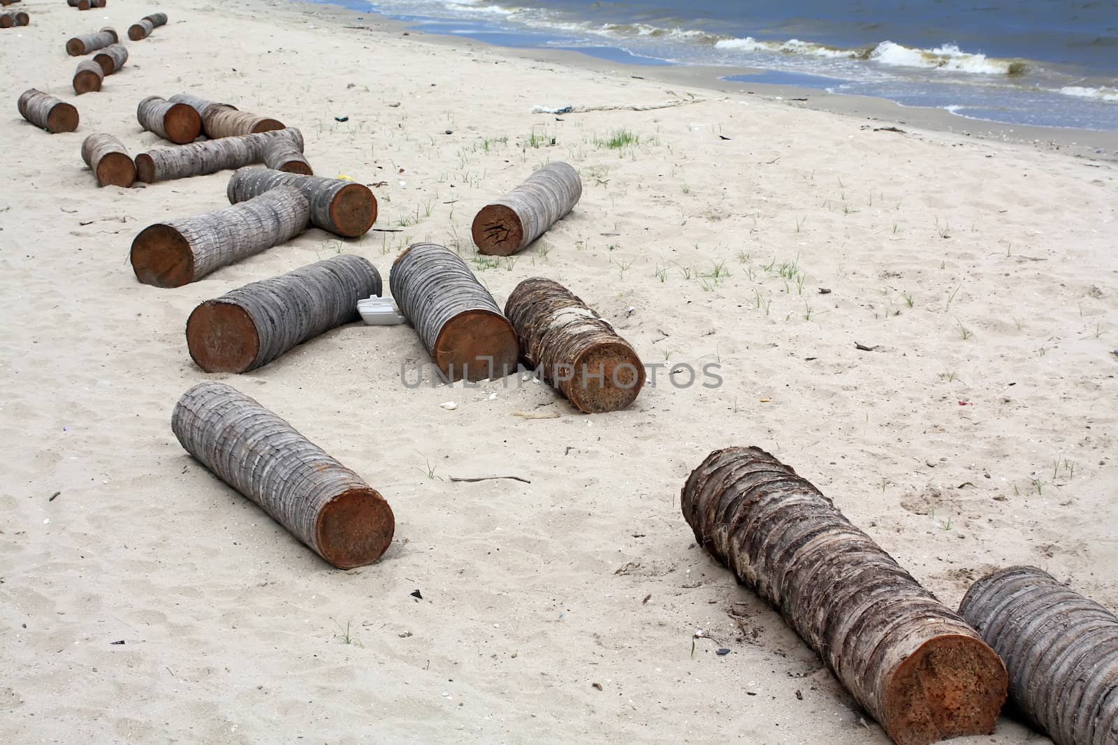 Timber on the beach