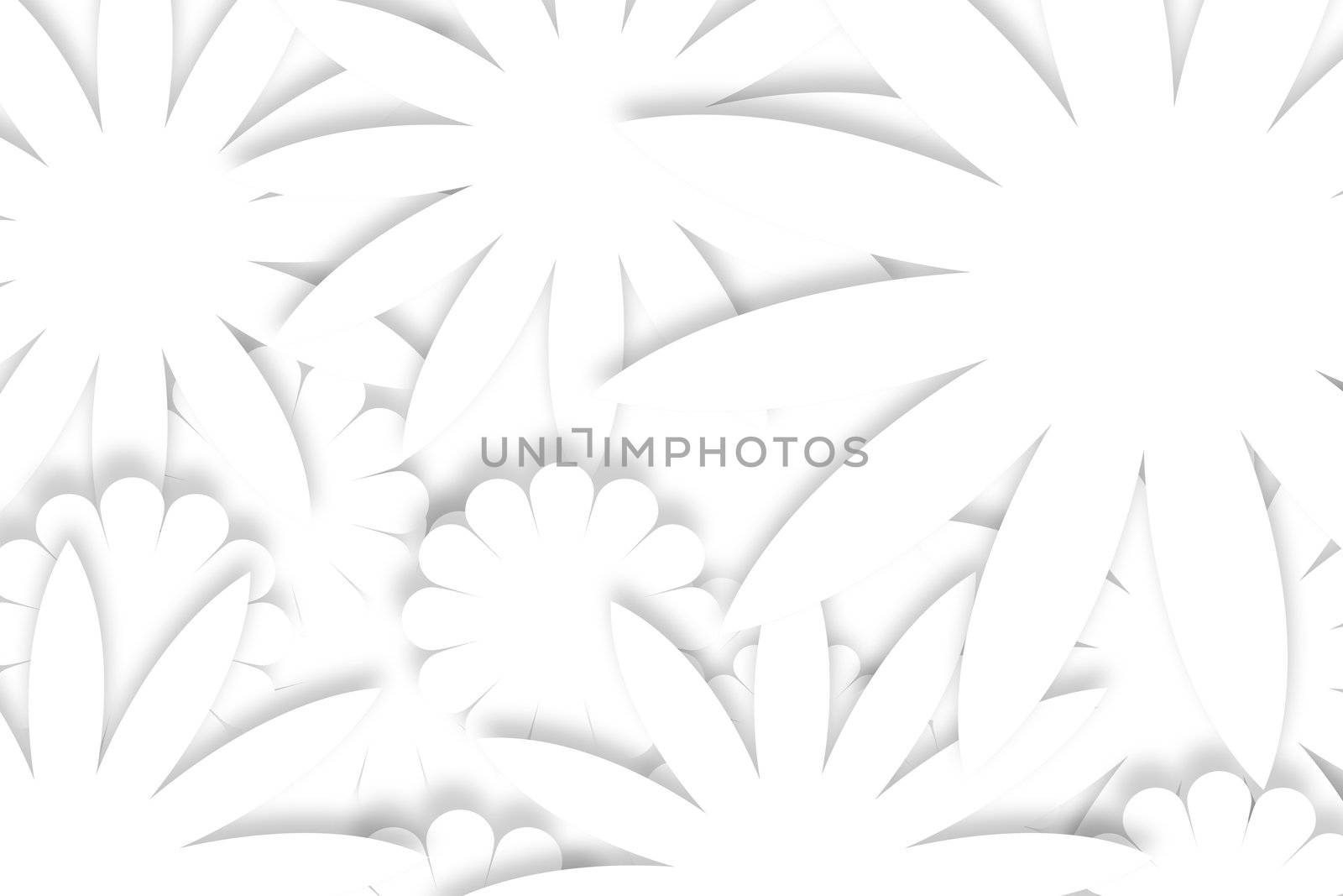 White card background by Carche