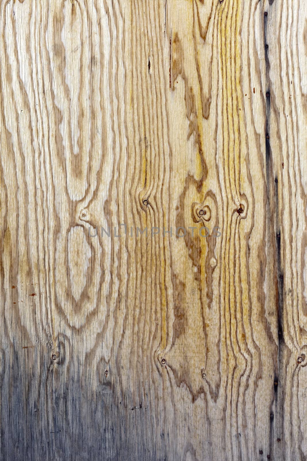 the background of weathered white painted wood