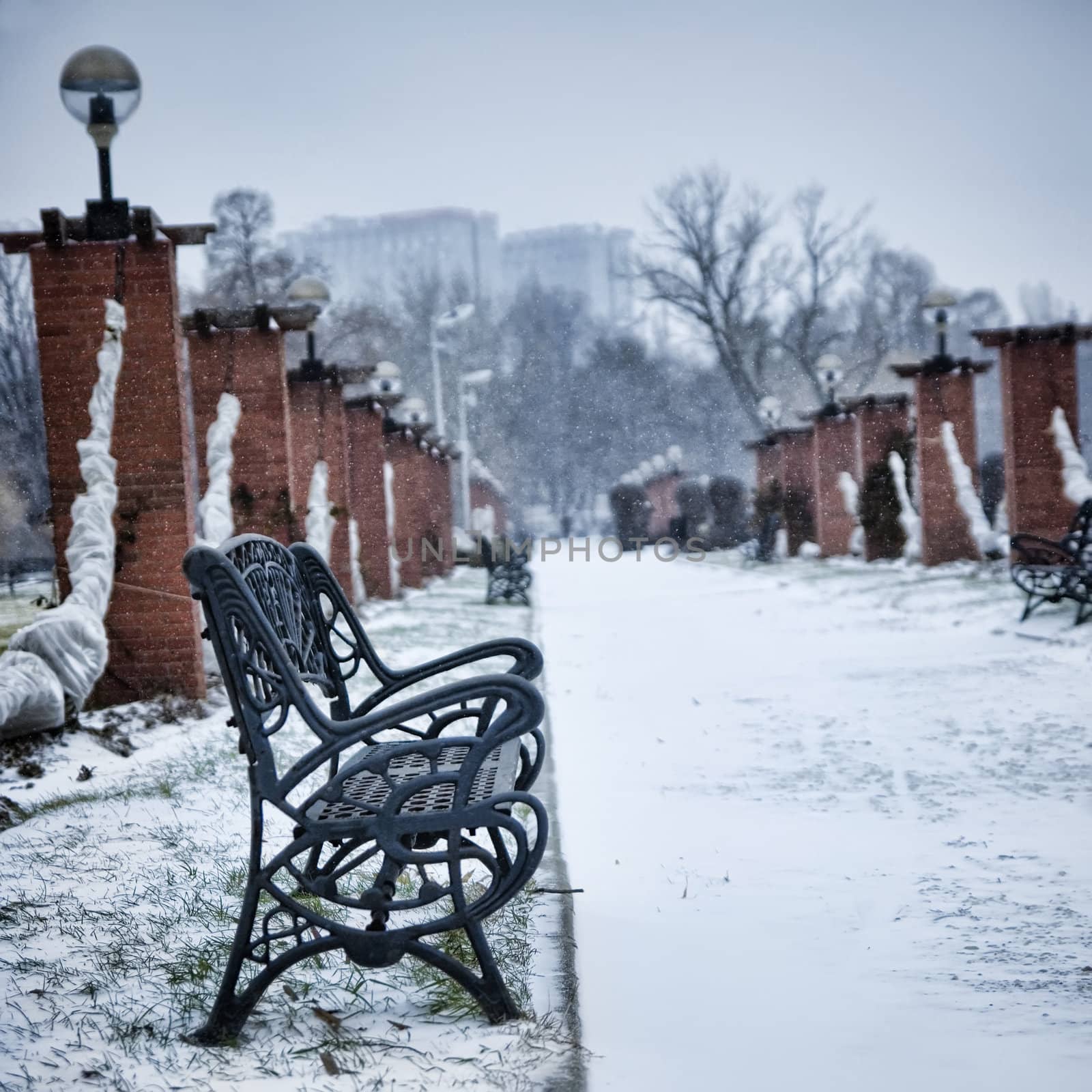 bench in the winter park filled in with the snow, Bucharest, Romania