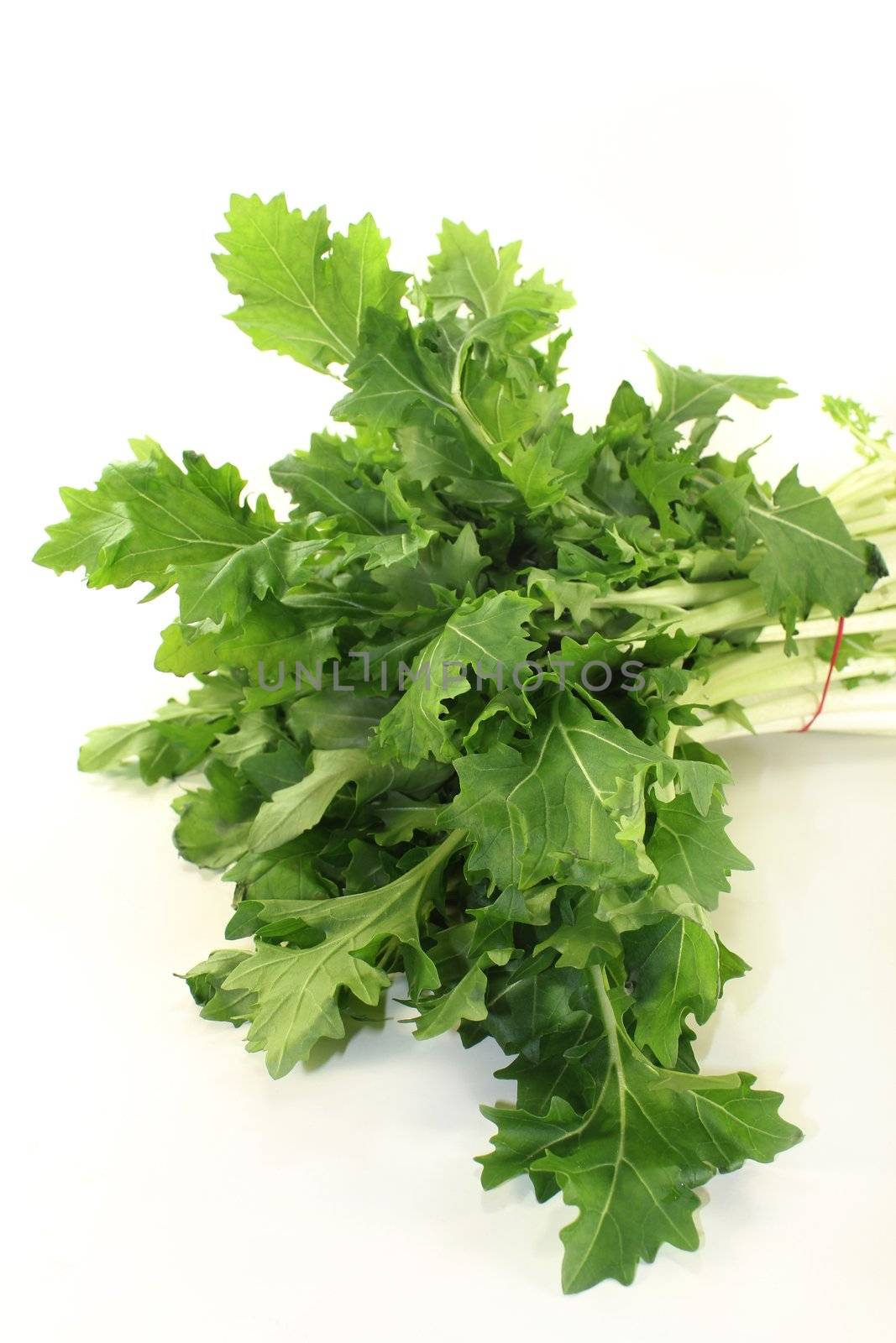 a bunch turnip greens on a white background