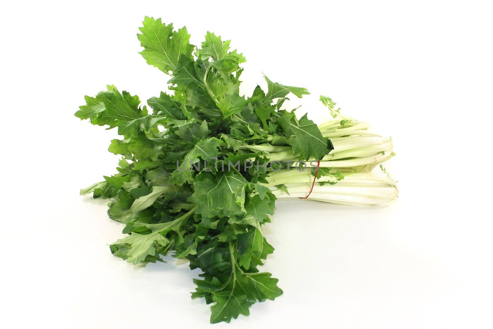 a bunch turnip greens on a white background