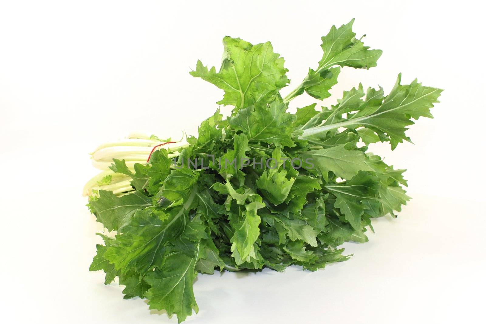 a bunch turnip greens on a white background