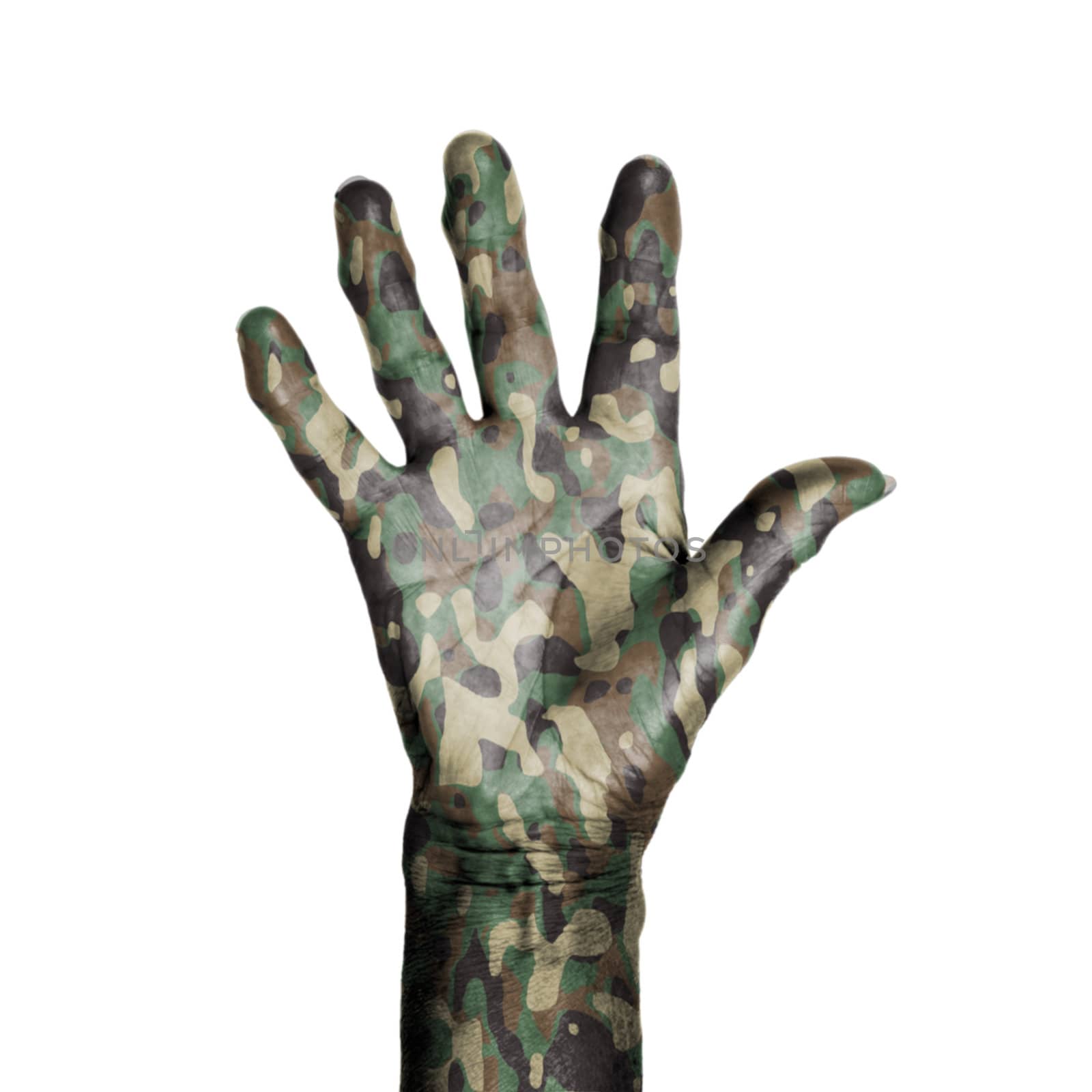 Camouflaged old hand by michaklootwijk