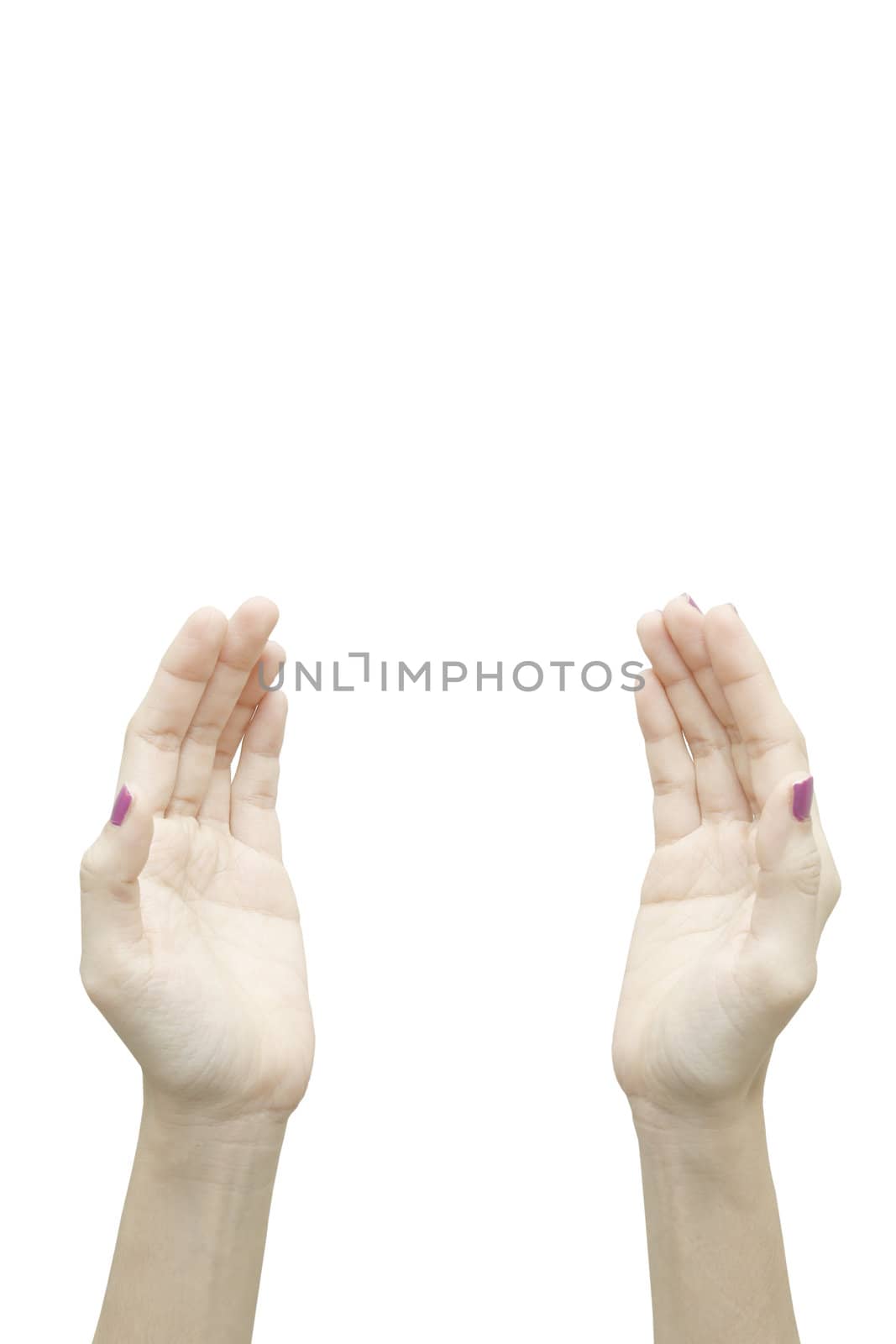 Two woman hands reaching on white background.