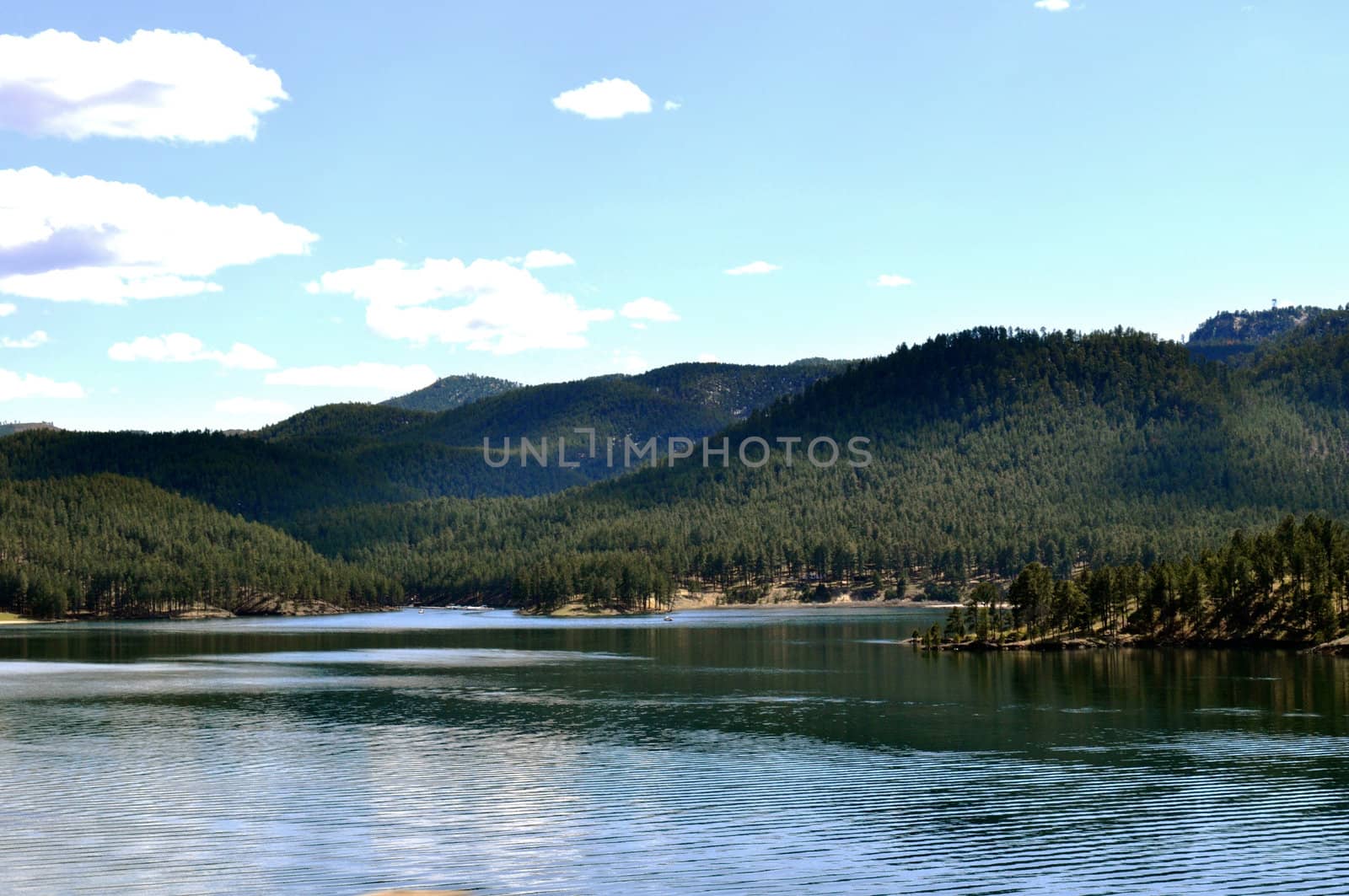 Black Hills lake by RefocusPhoto