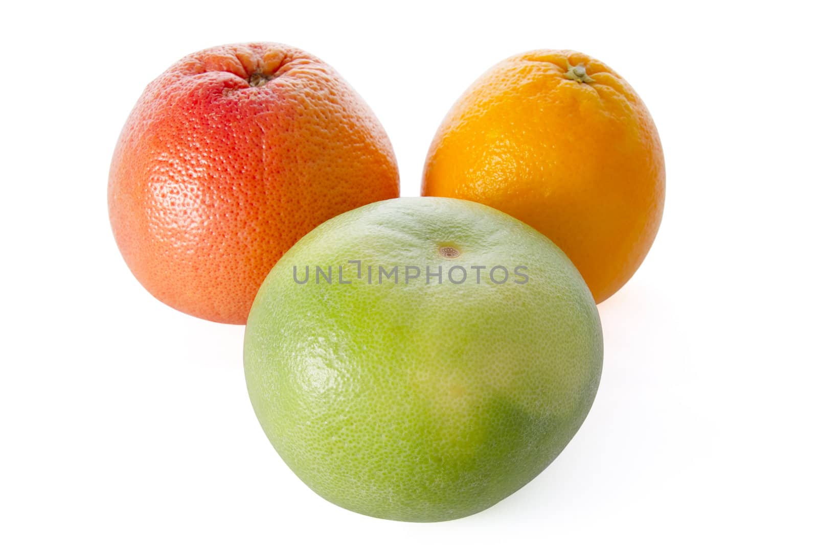 grapefruit, orange, and sweetie by Marina_Po