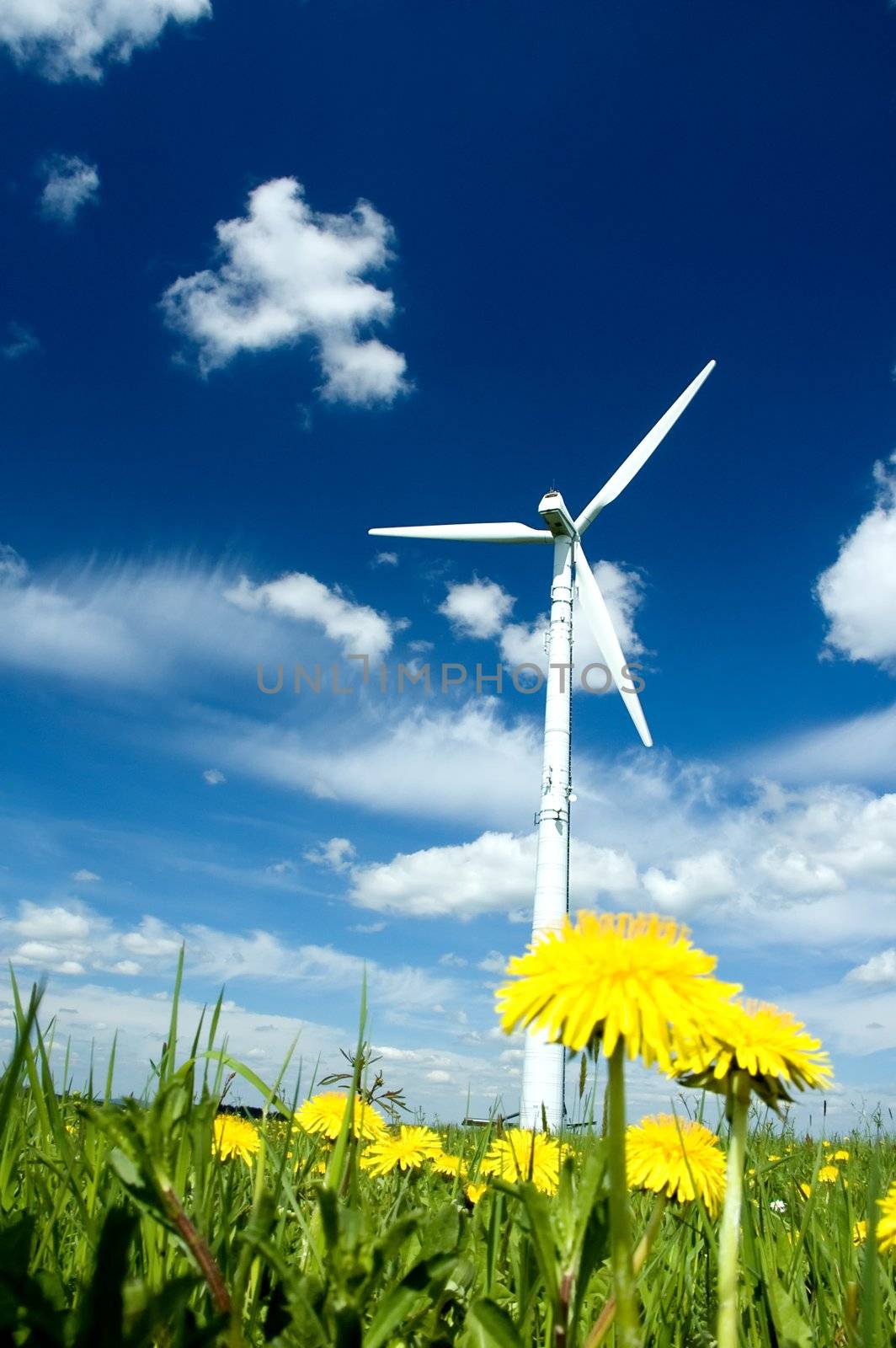 Wind Turbine in a Summer Meadow with yellow Dandelions