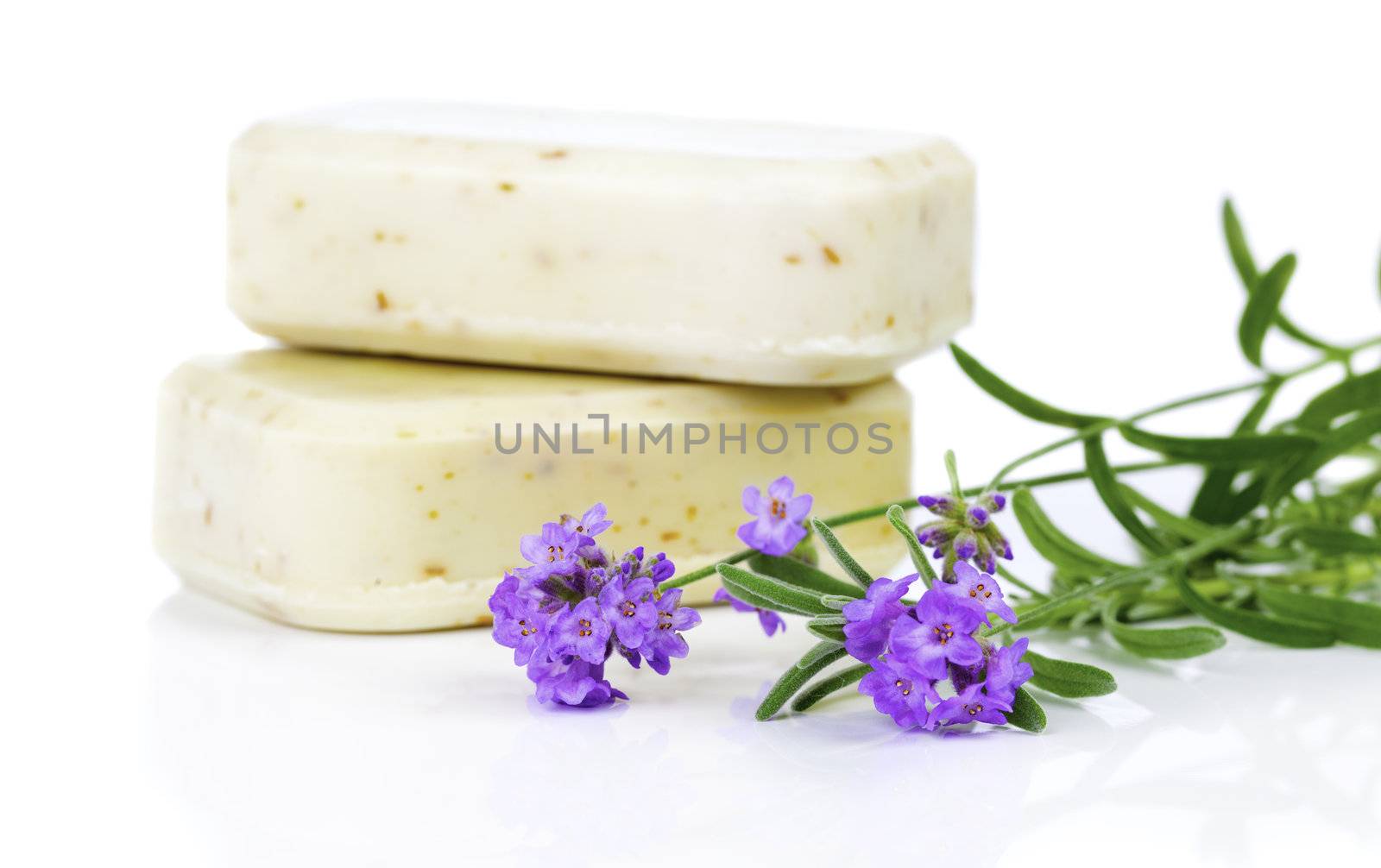 Handmade soap and lavender flowers on a white background