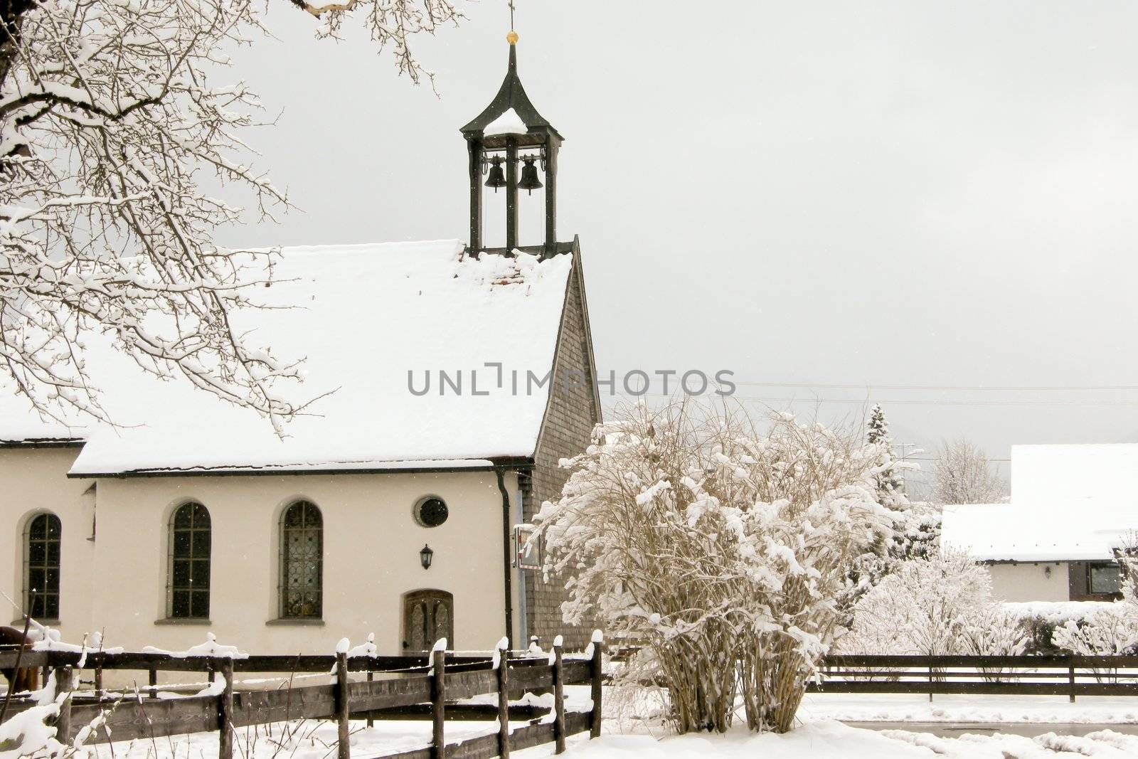 trees forest snow in winter landscape background
