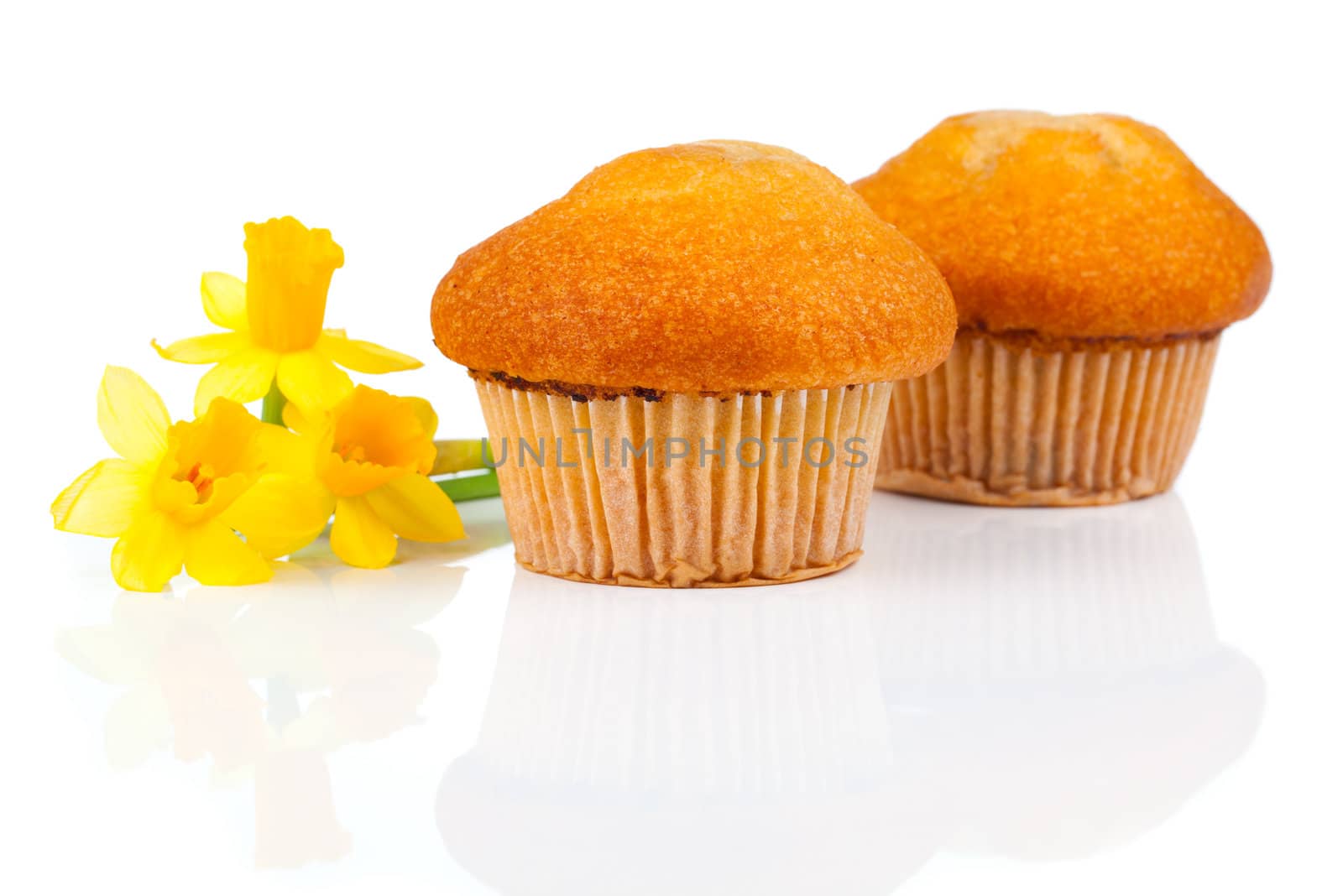 muffins, isolated on white background