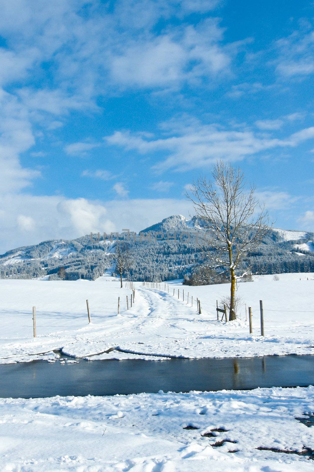 beautiful sunny landscape in winter with blue sky and snow