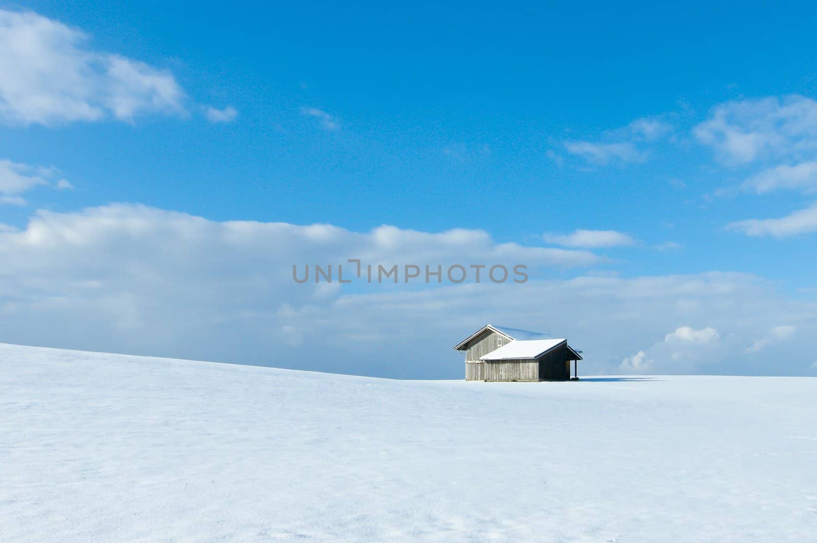 beautiful sunny landscape in winter with blue sky and snow