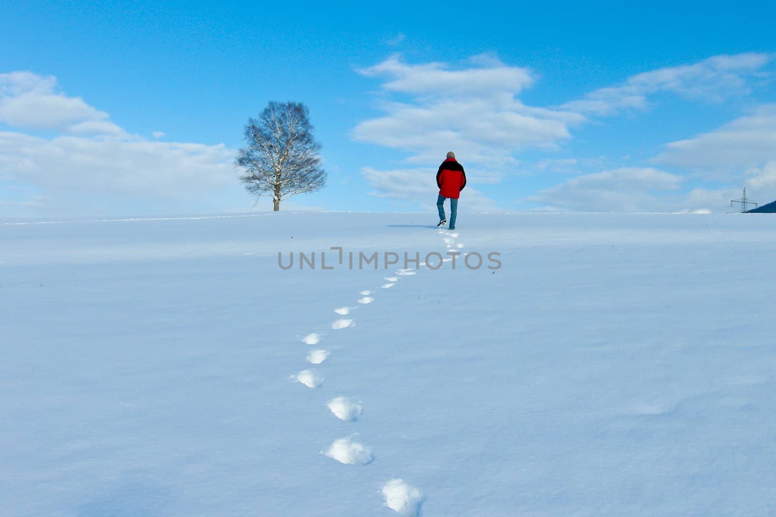 beautiful sunny landscape in winter with blue sky and snow
