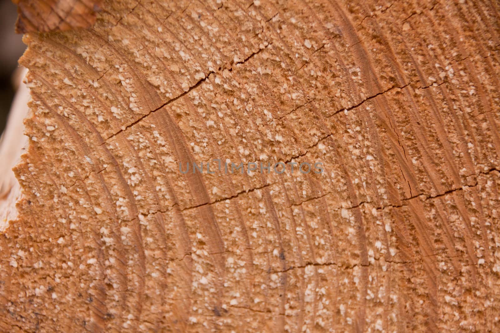 natural wooden brown background texture outdoor