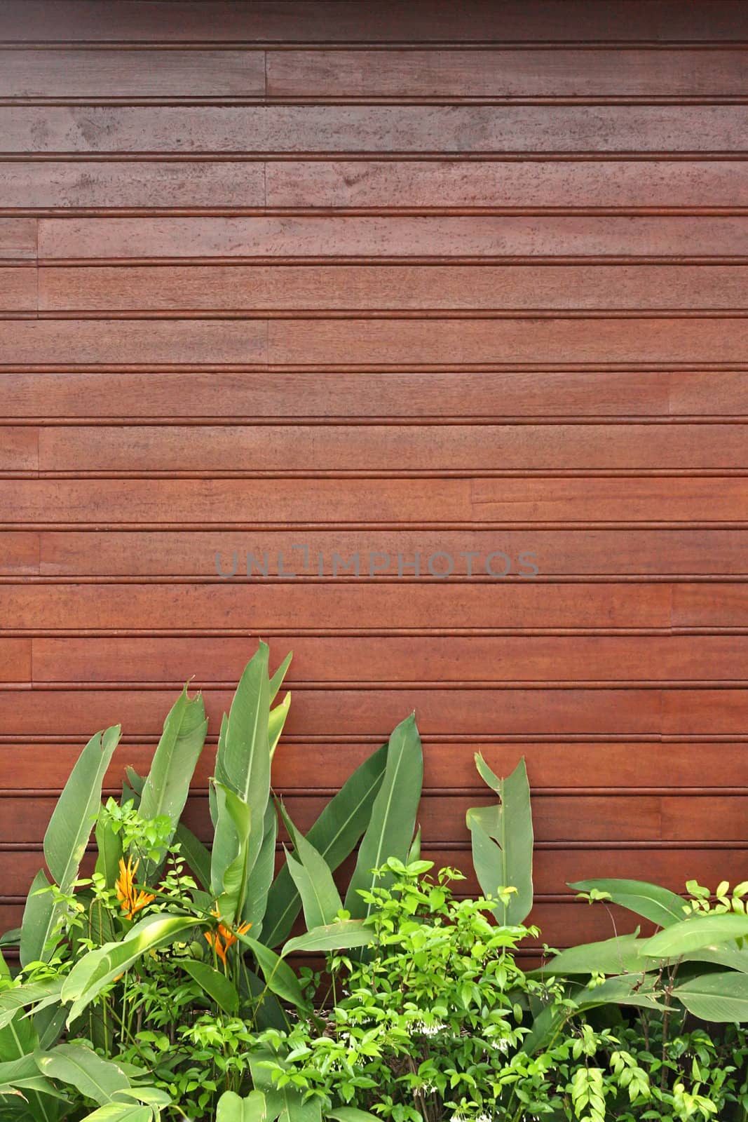 Red brown lath wall with fresh green plants and flowers in the foreground. Space for additional text in the upper half. Vertical perspective.