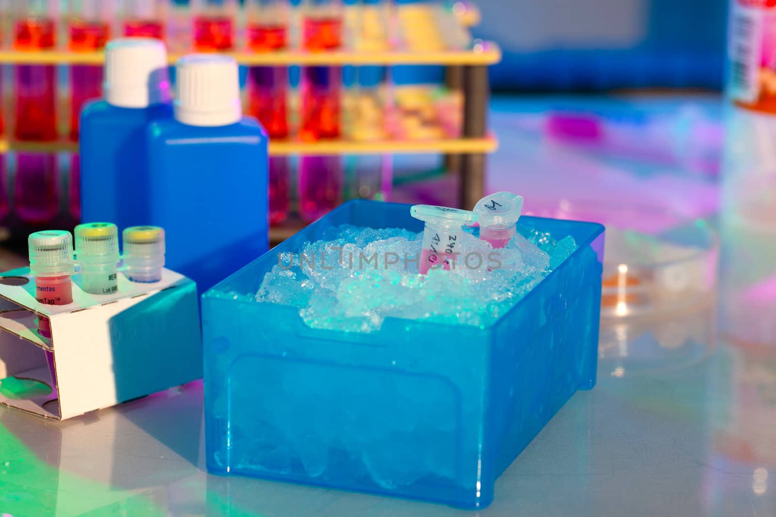 reaction plastic tube in a box full of ice