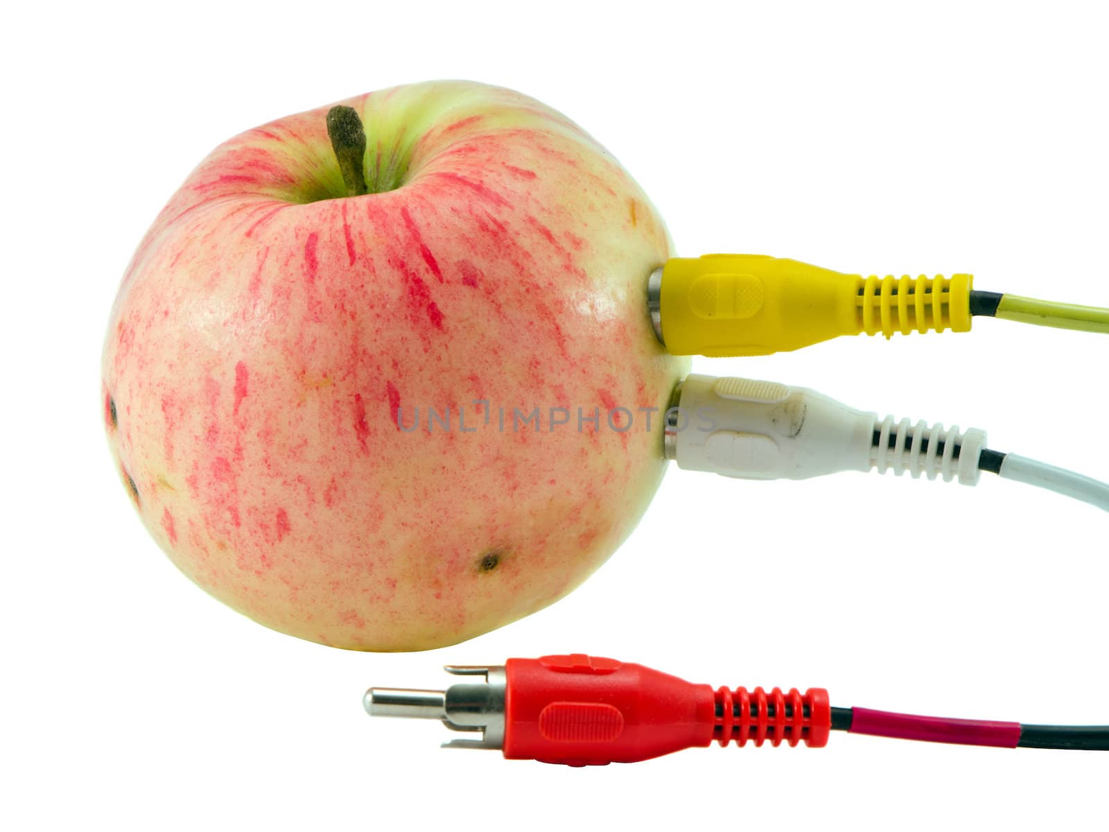 Tulip audio video wires plugs connected to apple concept. Colorful red yellow white cables with notes.