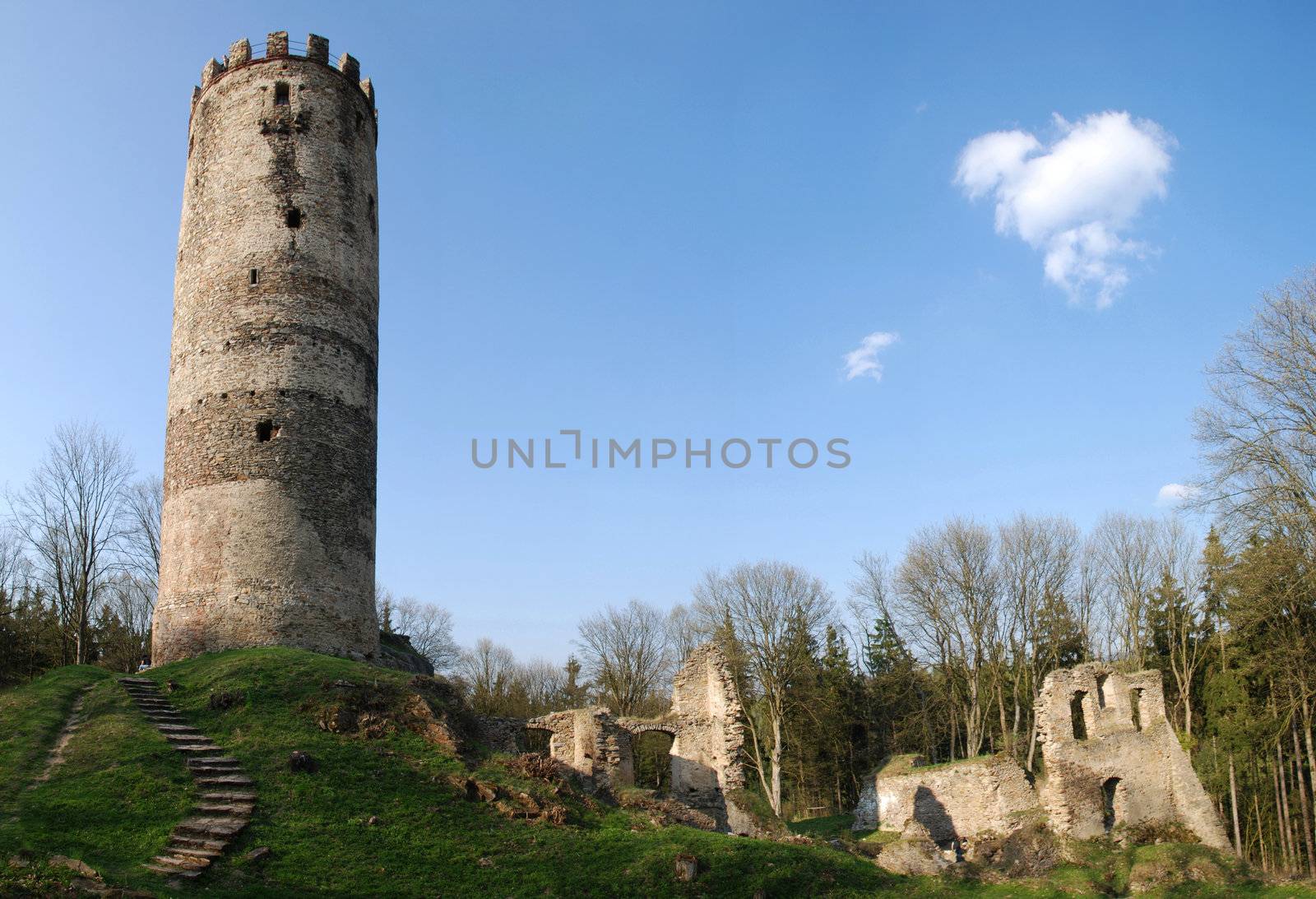 Castle ruins by drakodav