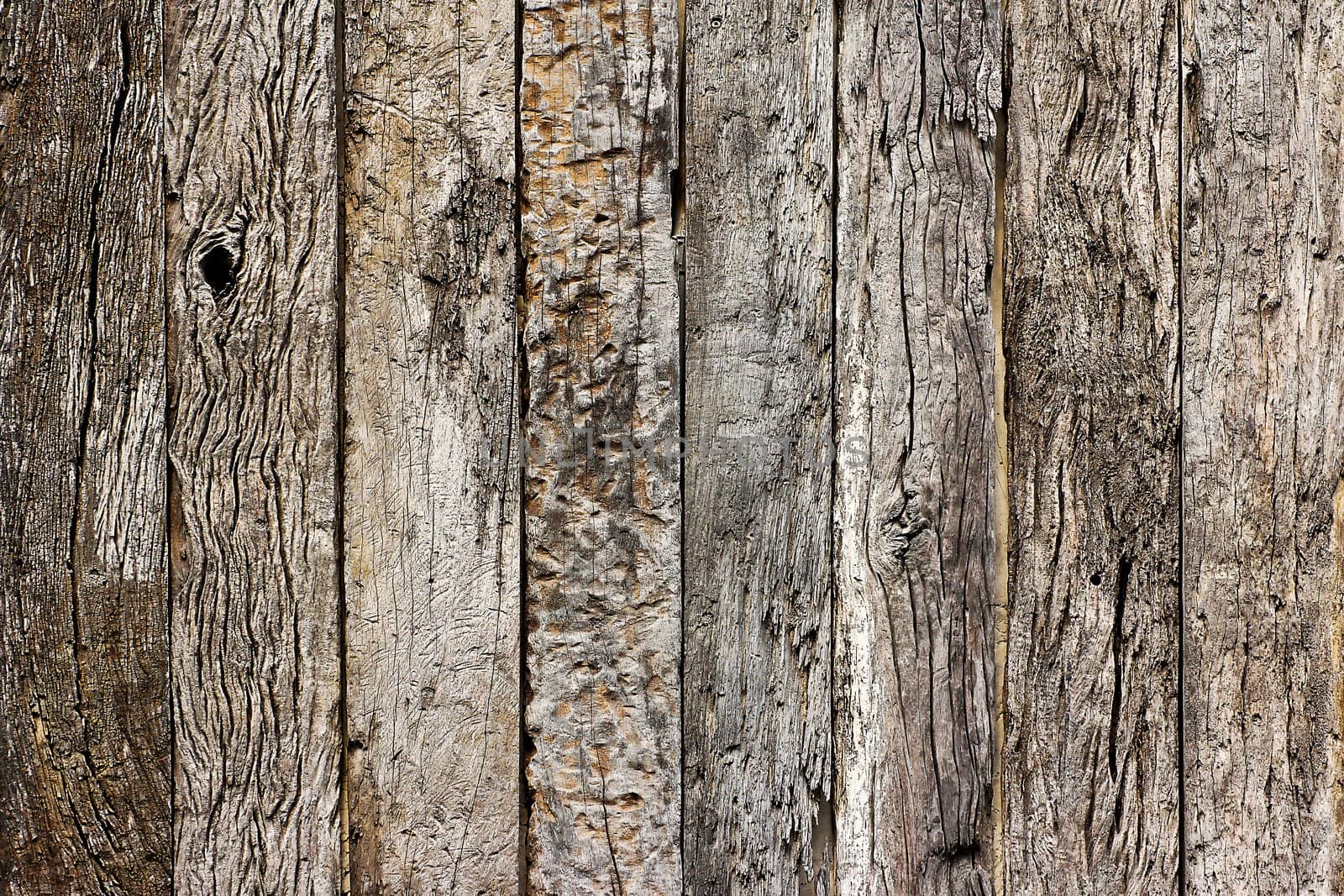 Wood texture