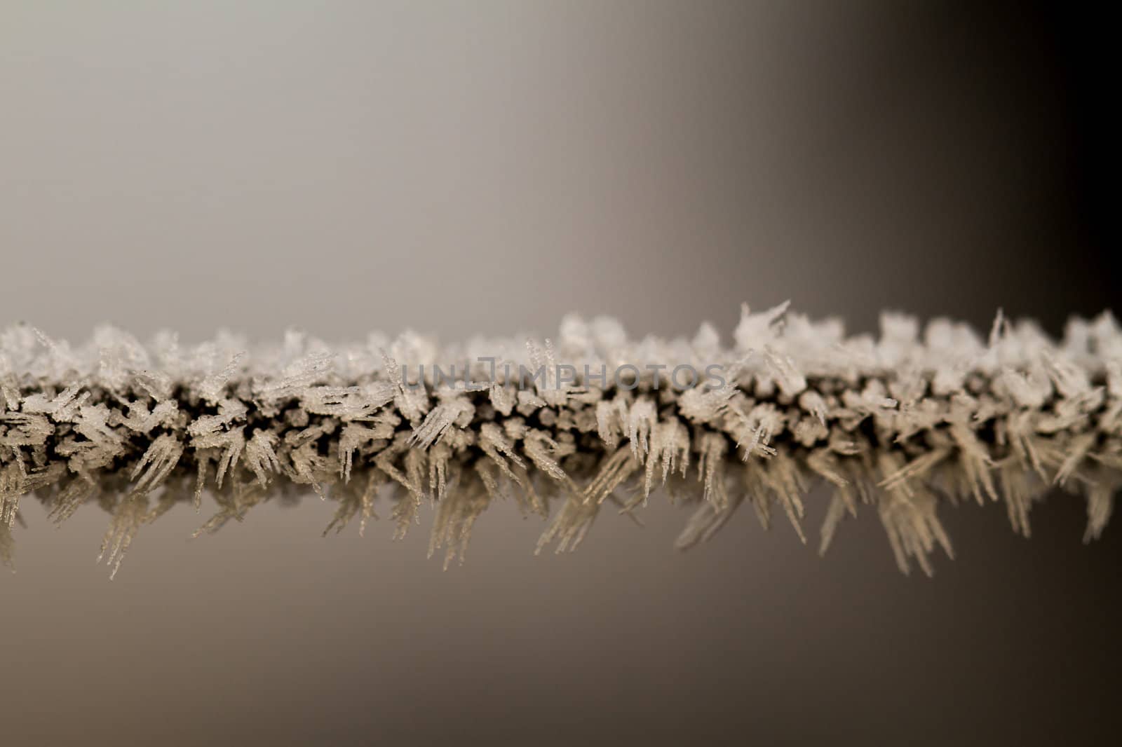 wire fence texture with hoarfrost overlay