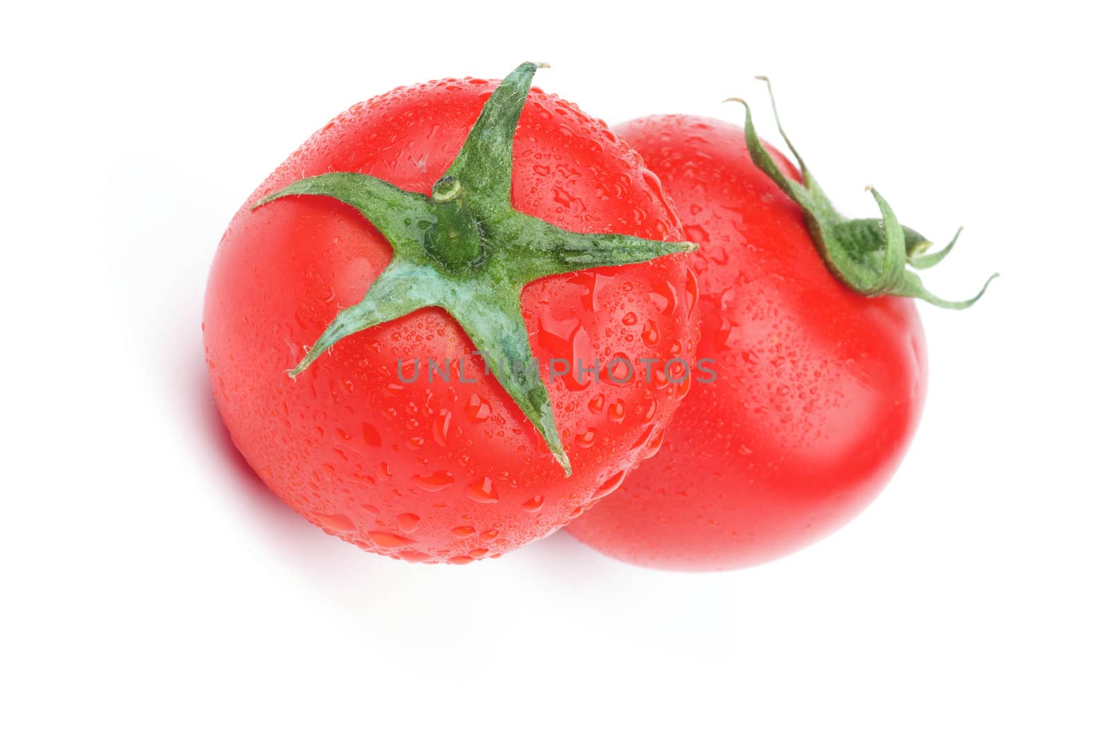 Two Perfect Raw Tomatoes with Stems and Droplets isolated on white background