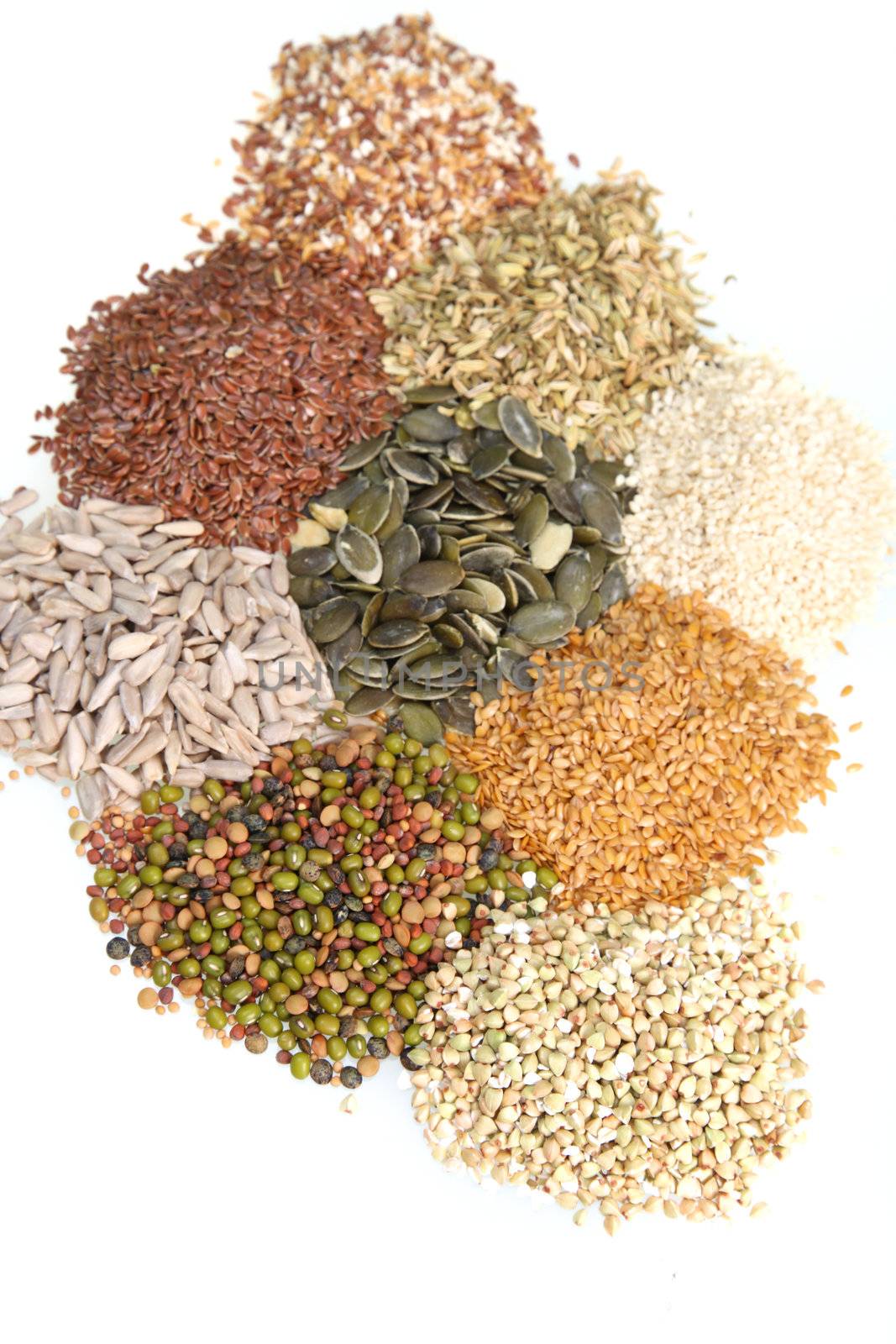 A studio shot of a variety of mixed seeds arranged small piles on a white background