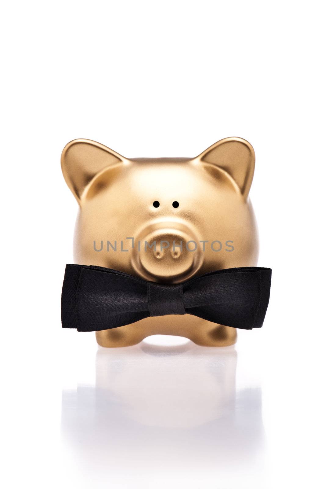 Golden piggy bank with bow tie over white