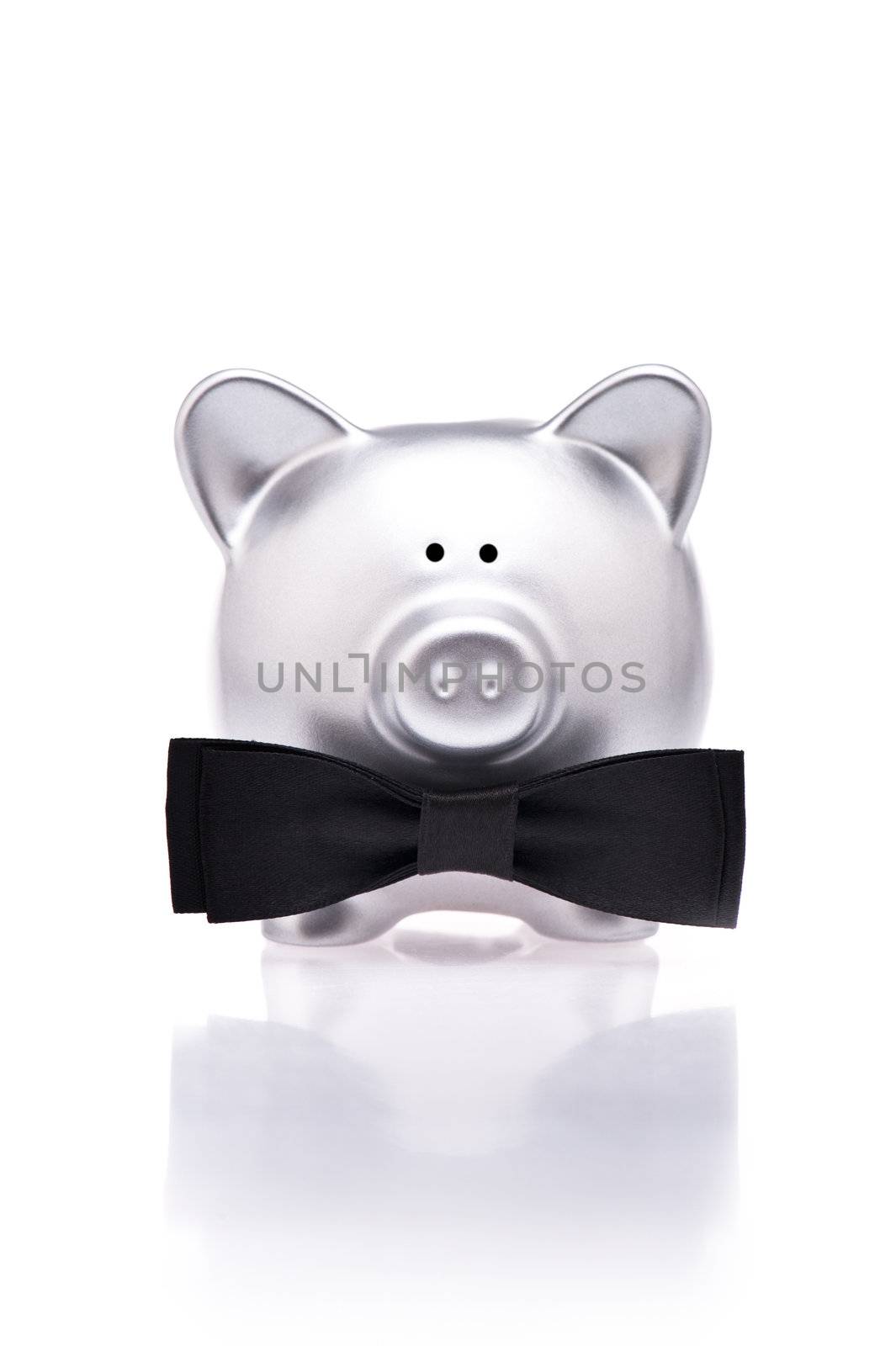 Silver piggy bank with bow tie by 3523Studio