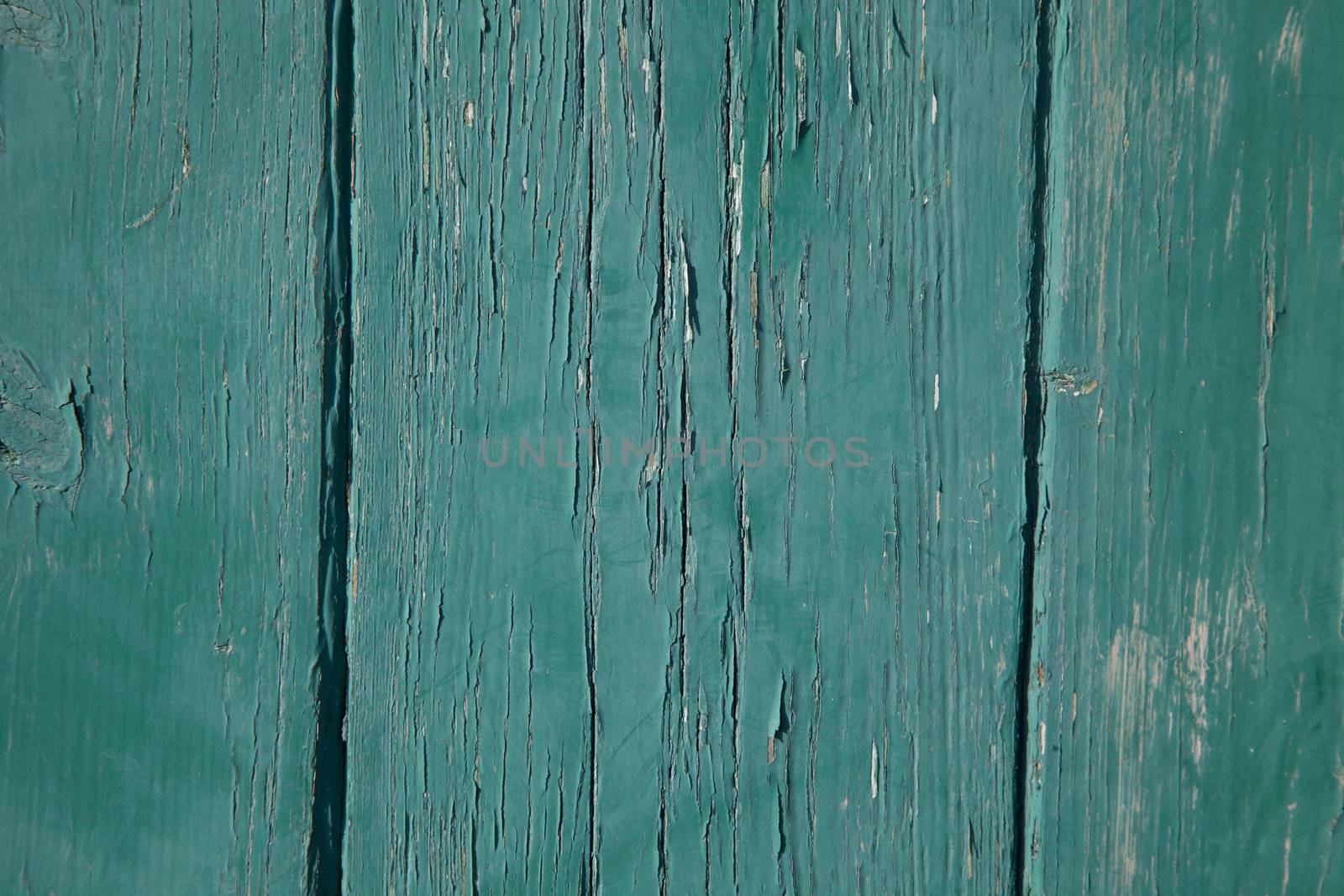 Vertical wooden planks with grain painted green with a worn flaky look.