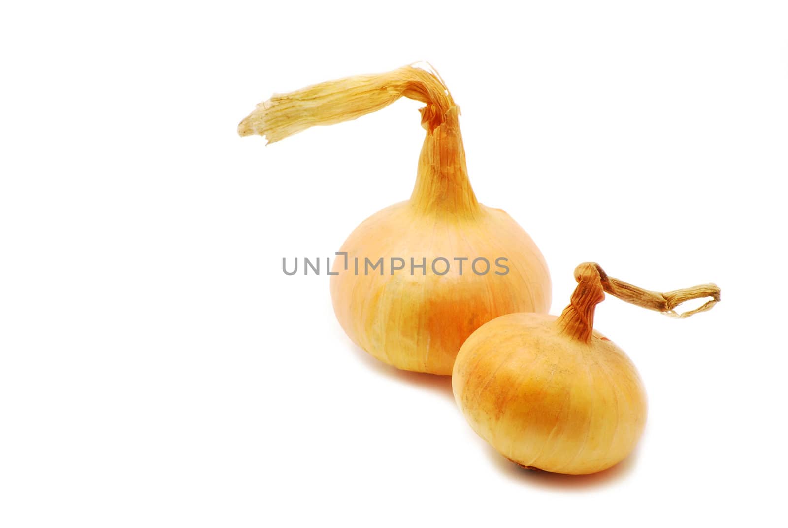 Two onions isolated on white background