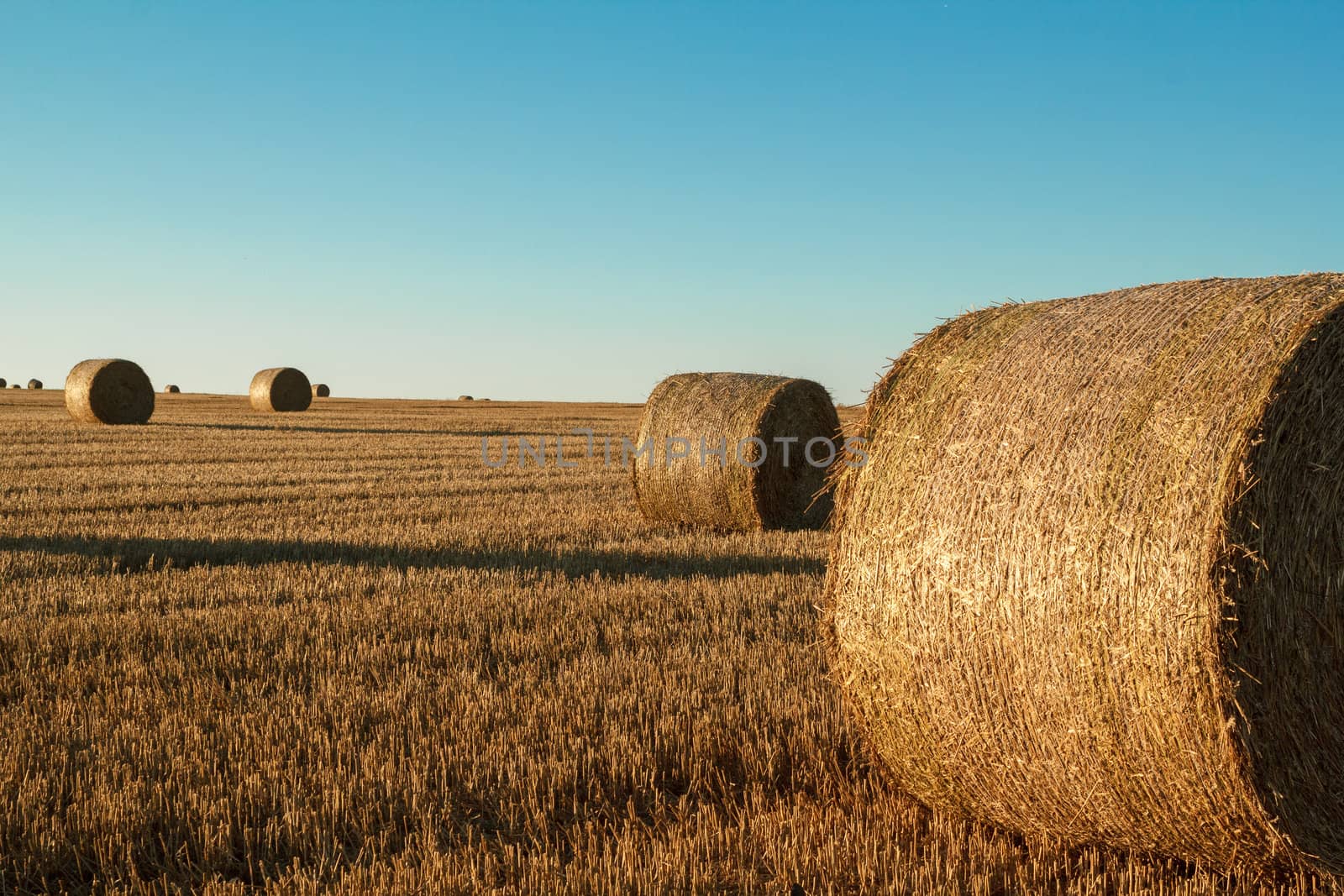 hay bale in the foreground of orange rural field 