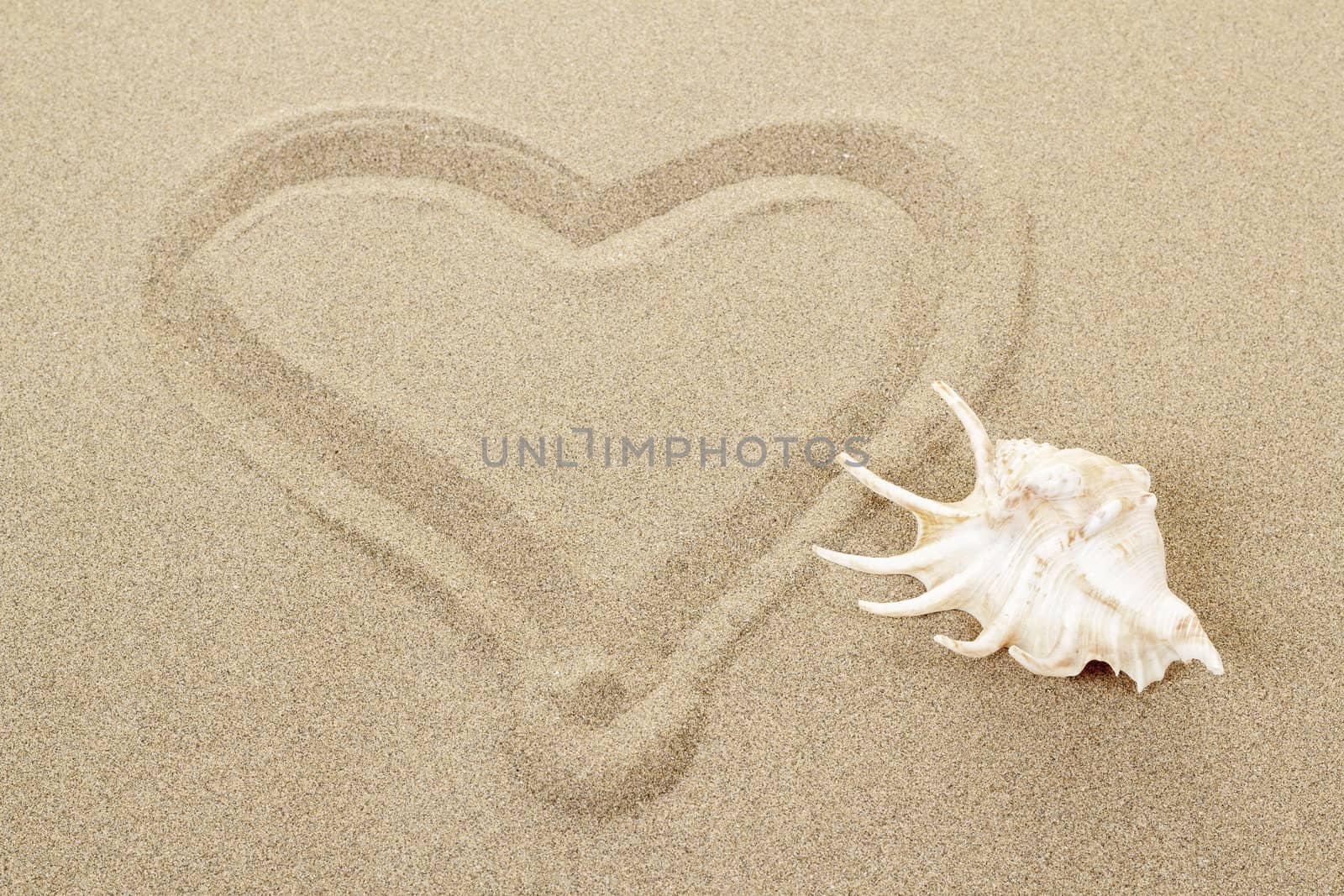 handwritten heart on yellow soft sand with seashell 