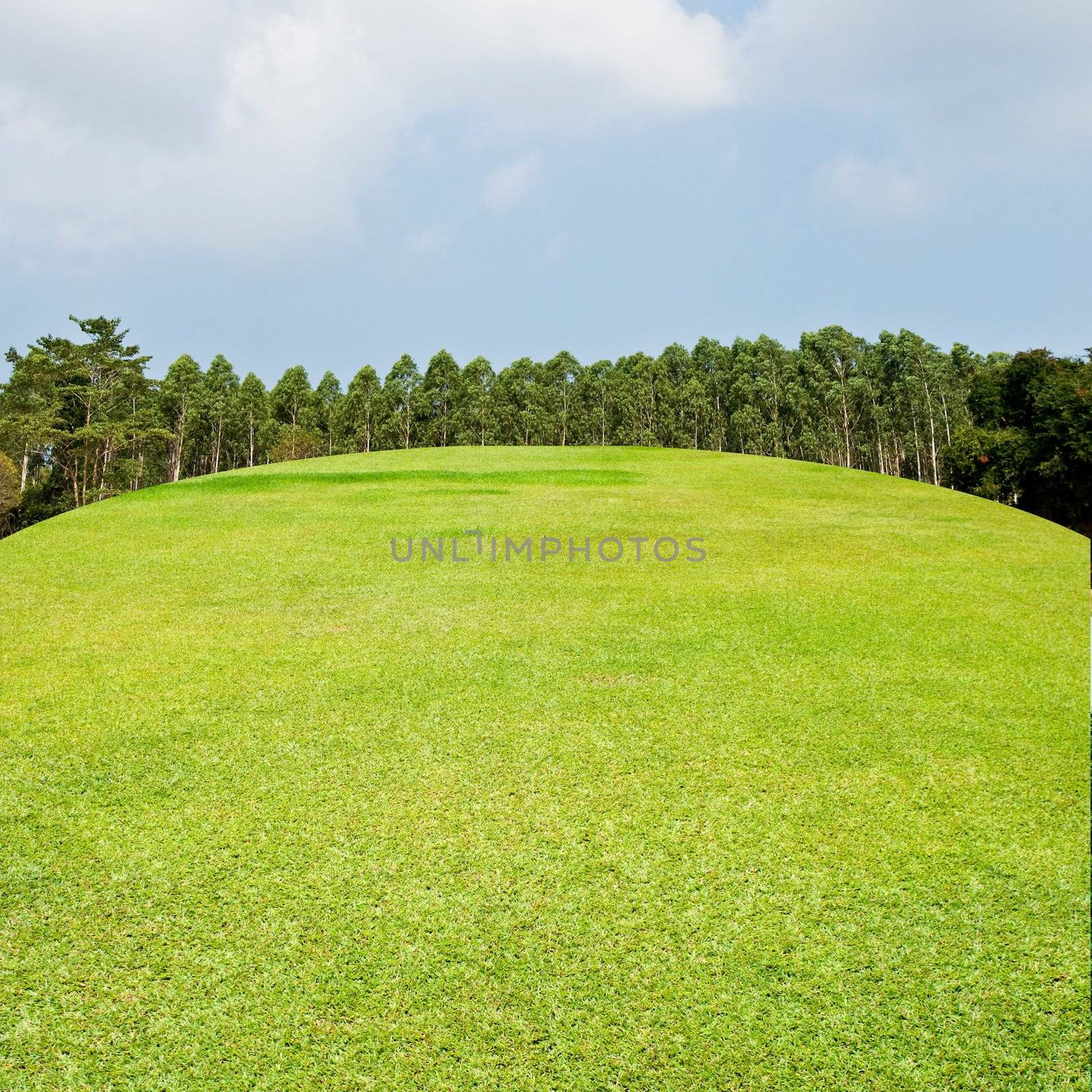 Golf couse with nice sky, Golf concept