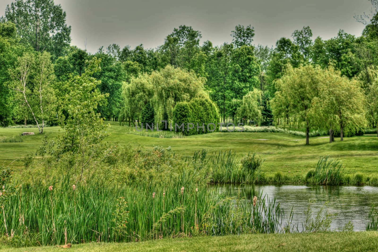 Golf green and water hazard with trees and greenery