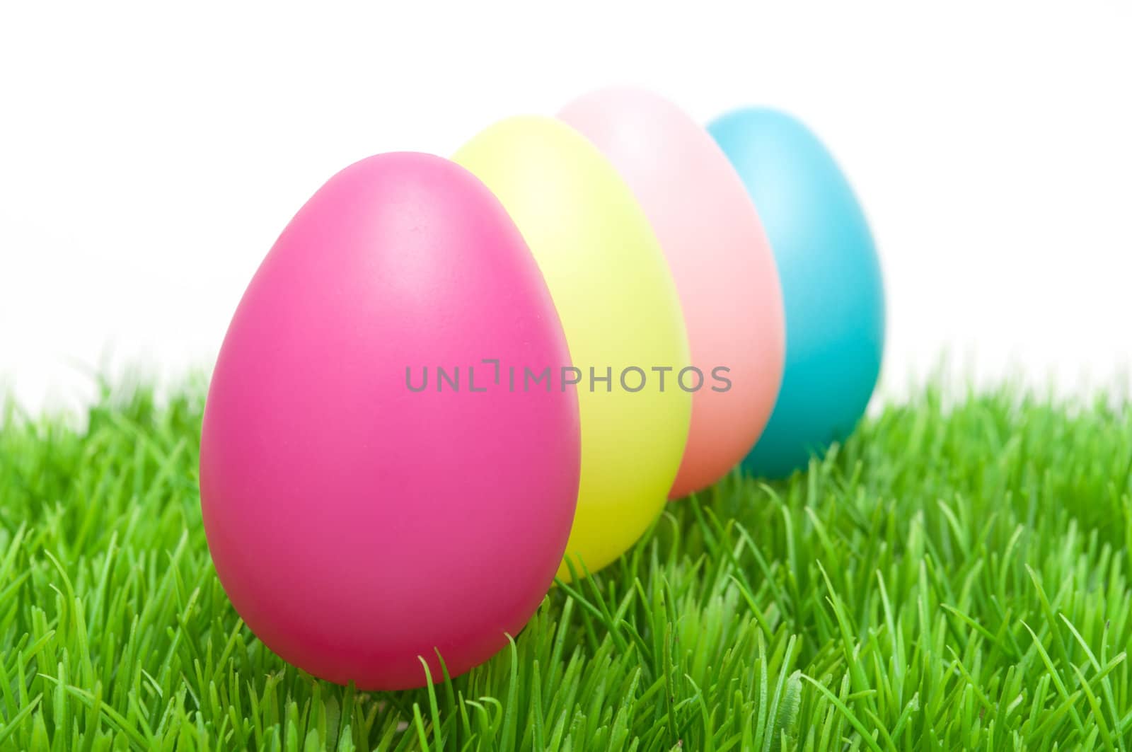 Color Easter Eggs in Grass On White Background