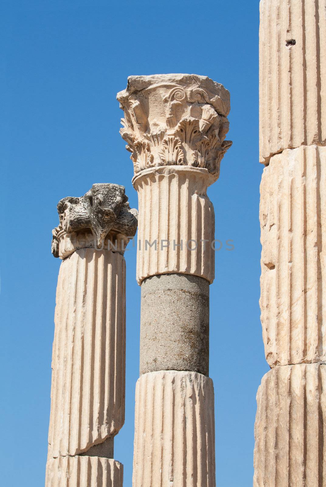 Ancient classical corinthian columns in Ephesus archaeological site, Turkey.