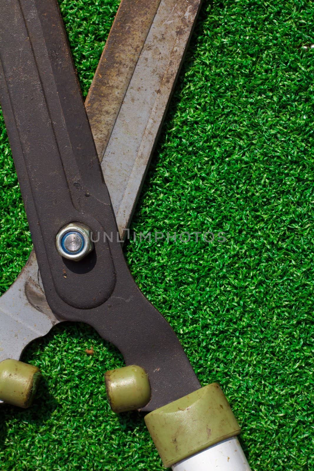 Scissors cut the grass