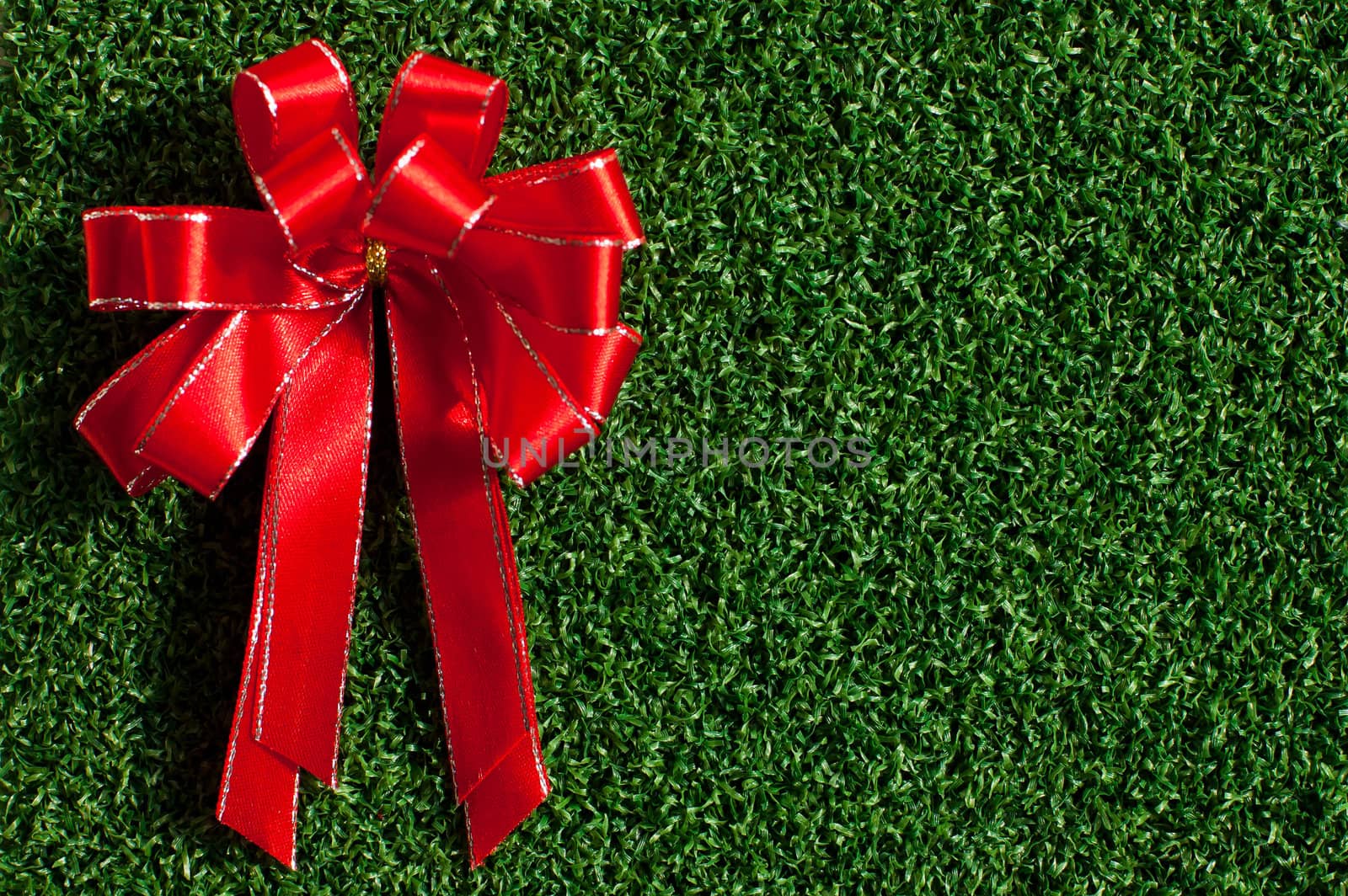 Red Bow on green grass background by ponsulak