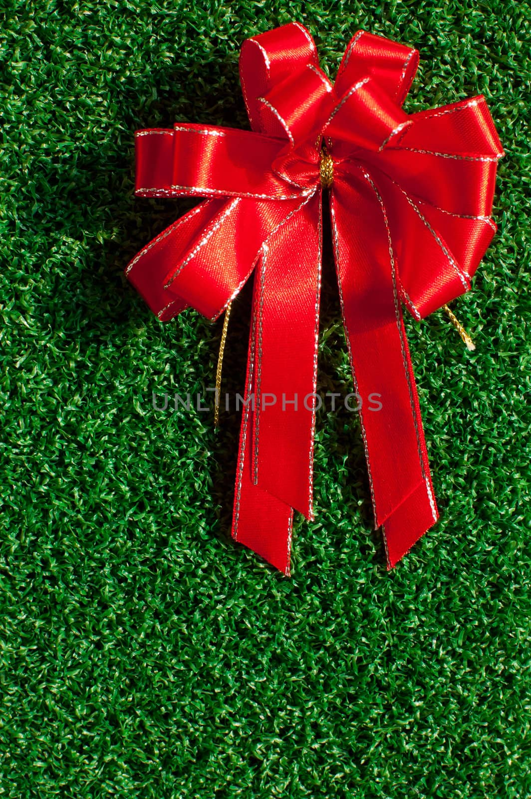 Red Bow on green grass background by ponsulak