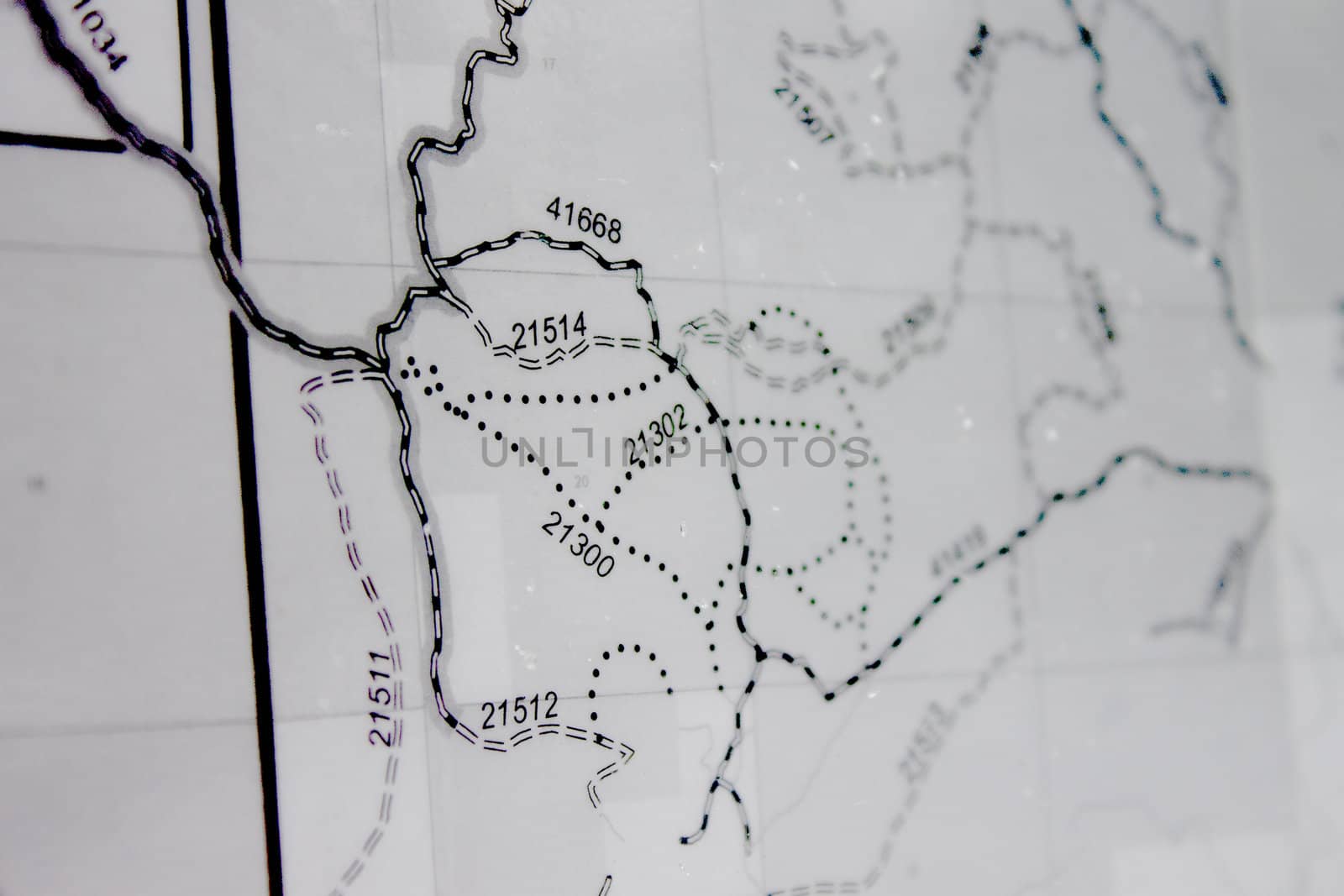 Black and white forest maps of the sierra nevadas