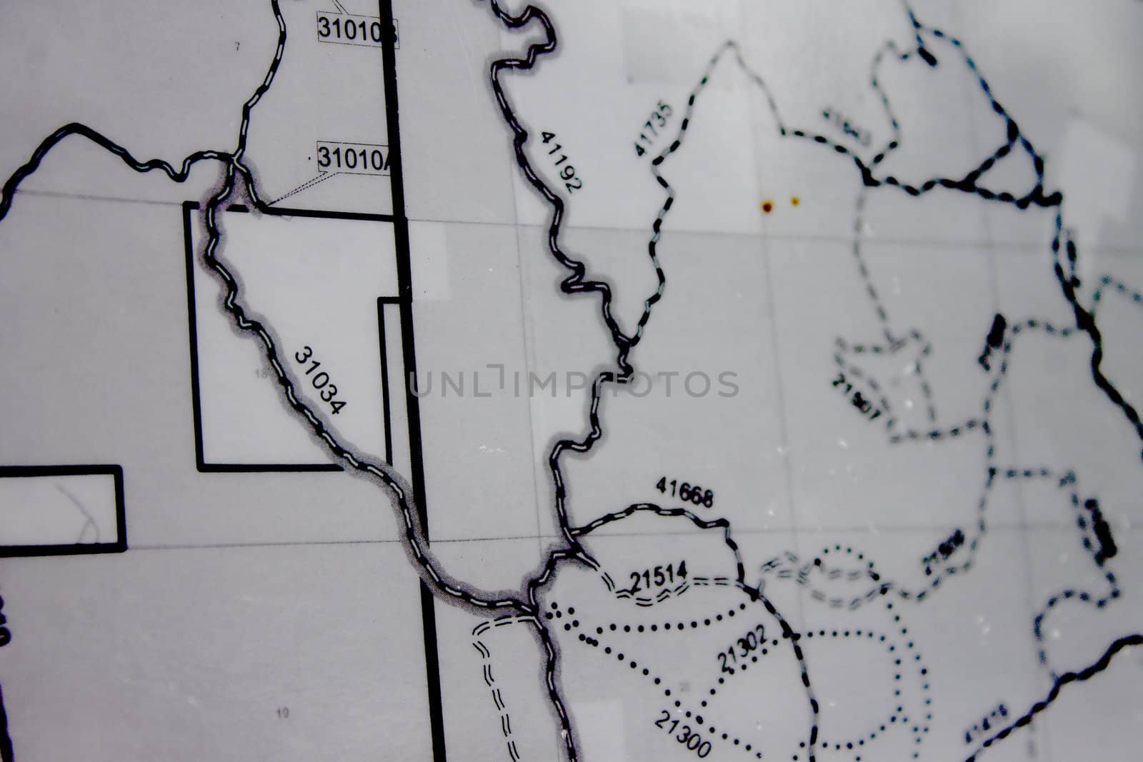 Black and white forest maps of the sierra nevadas