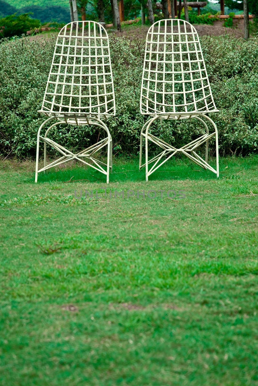 couple chair on a field